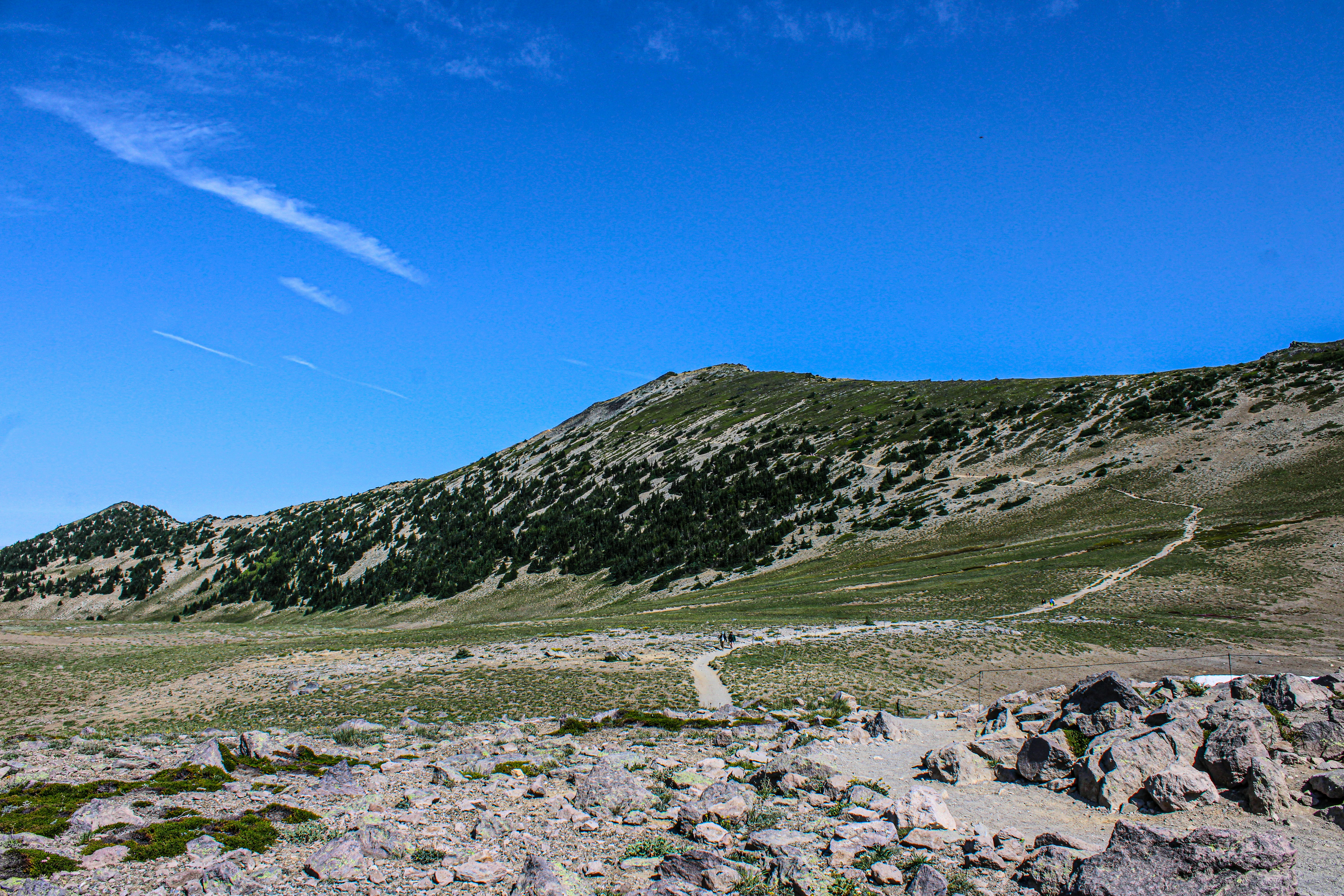 Photo by prphotography262