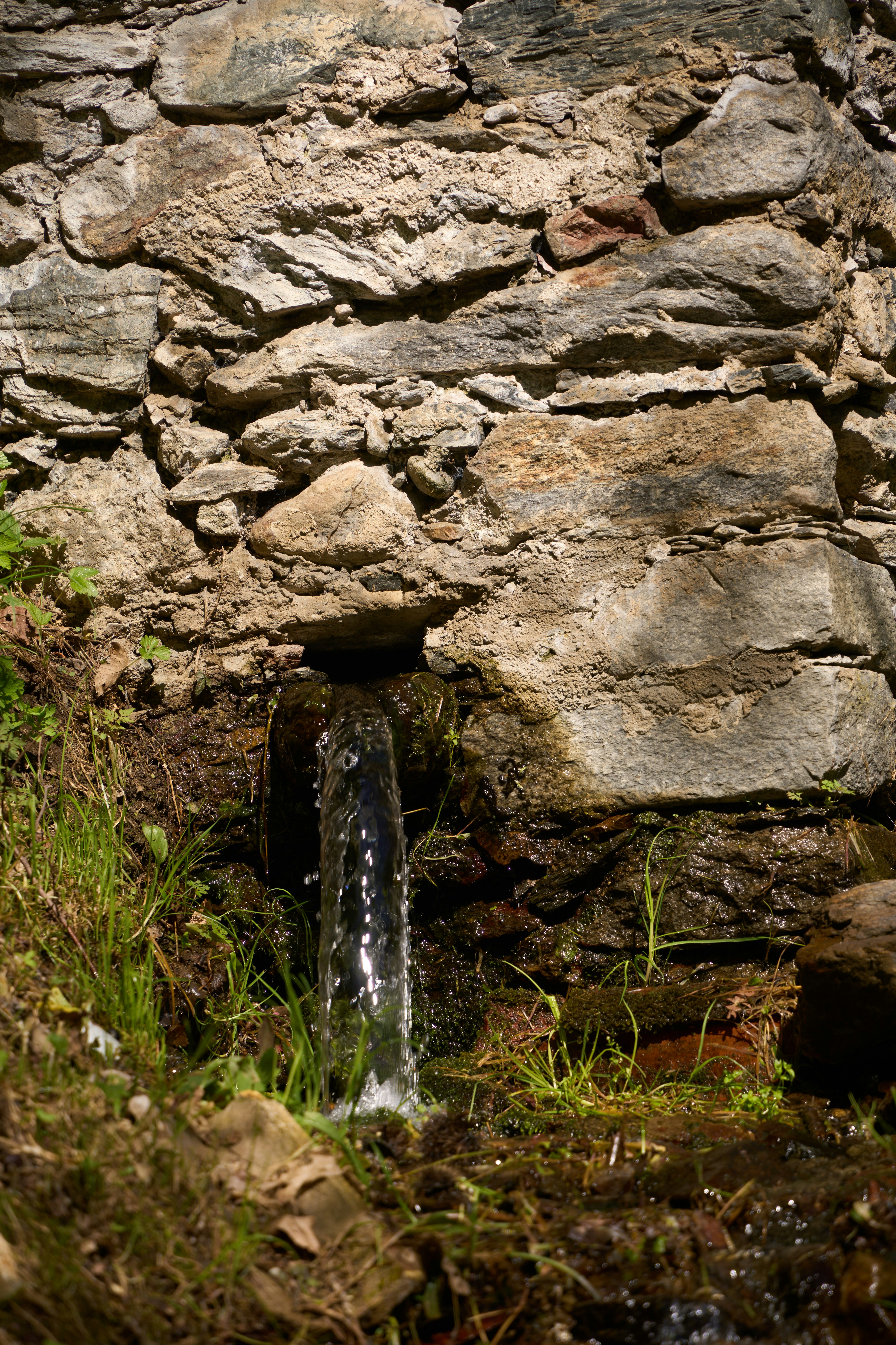 Photo by wolfgang_hasselmann