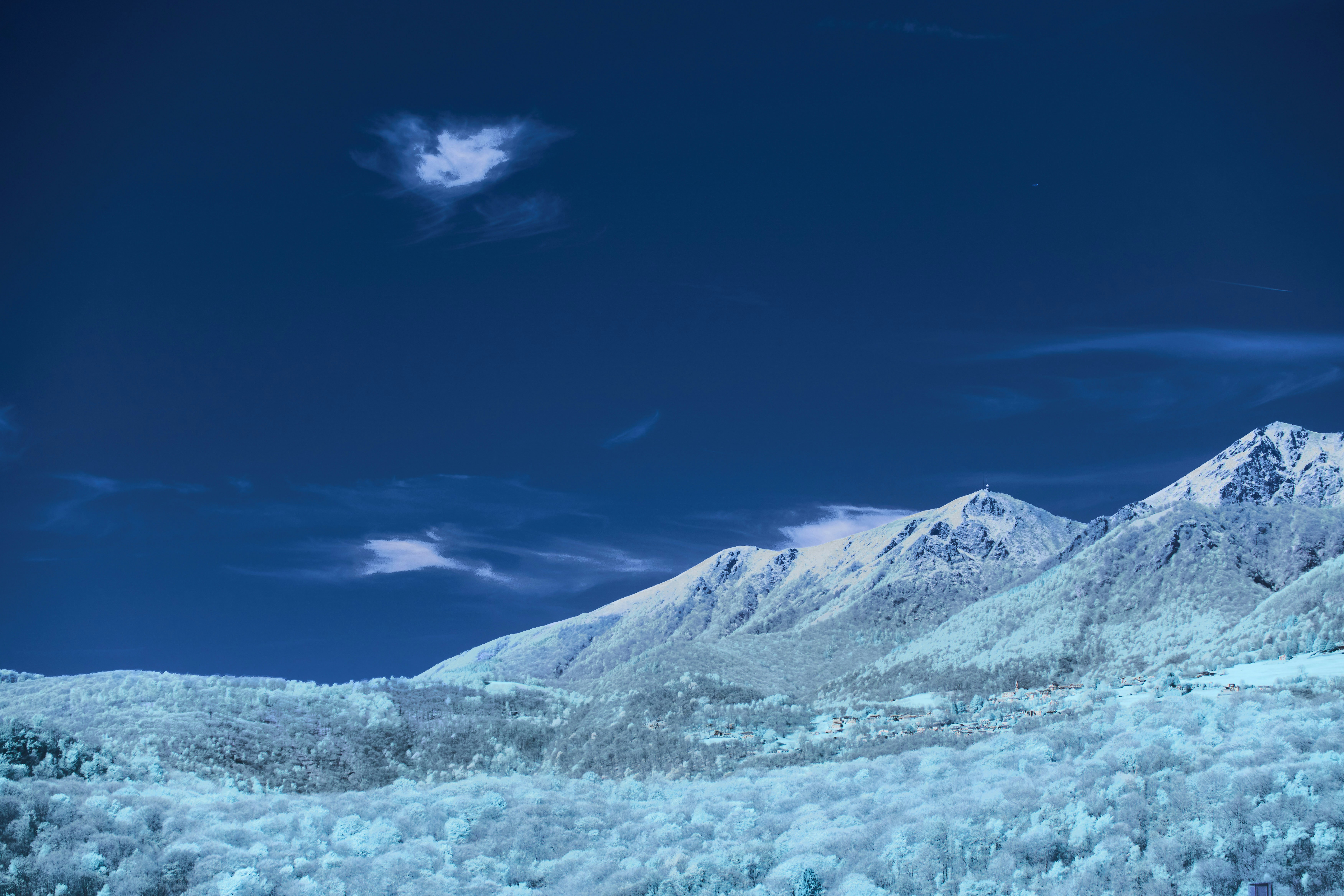 Photo by wolfgang_hasselmann