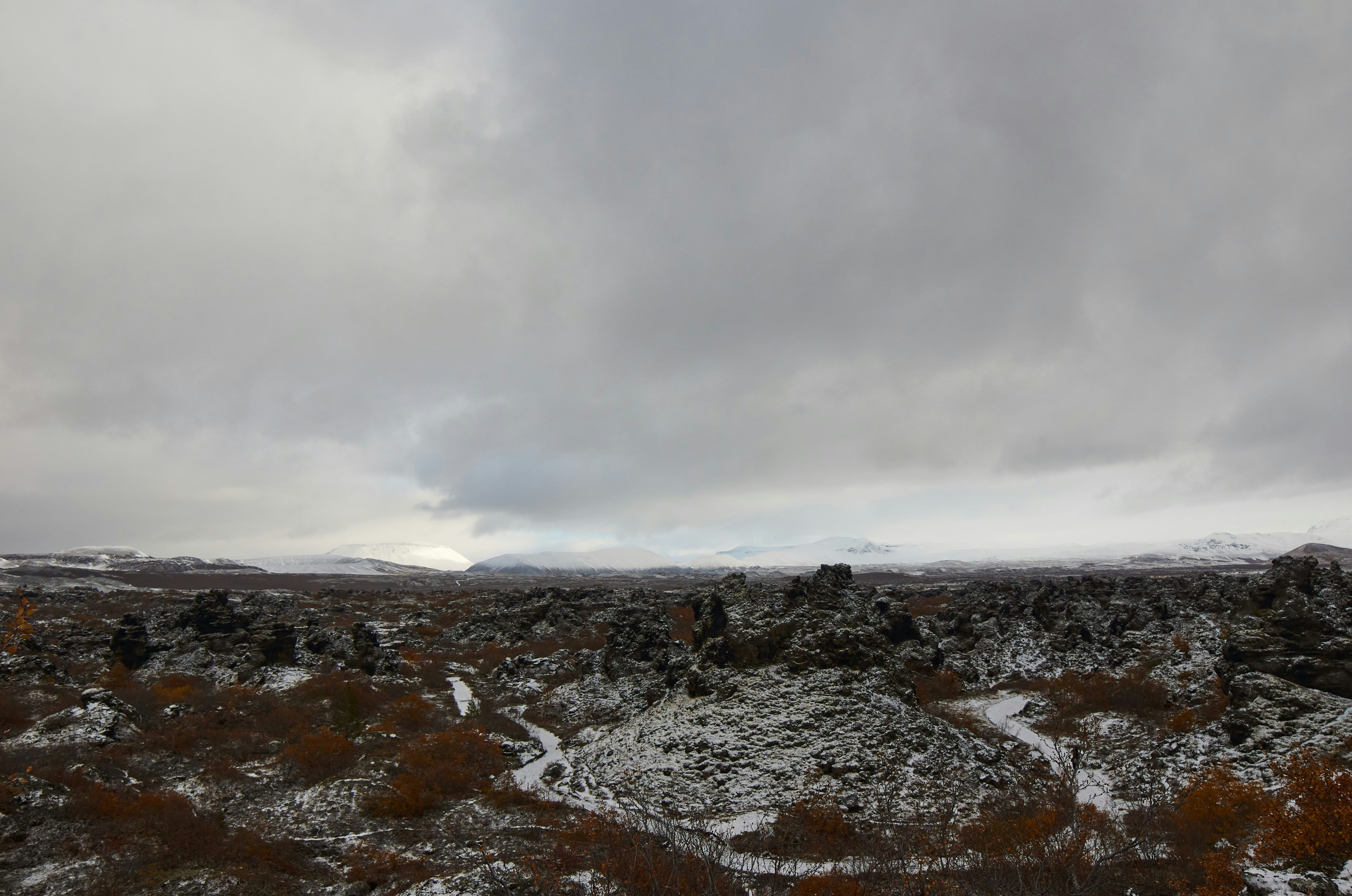 Photo by wolfgang_hasselmann