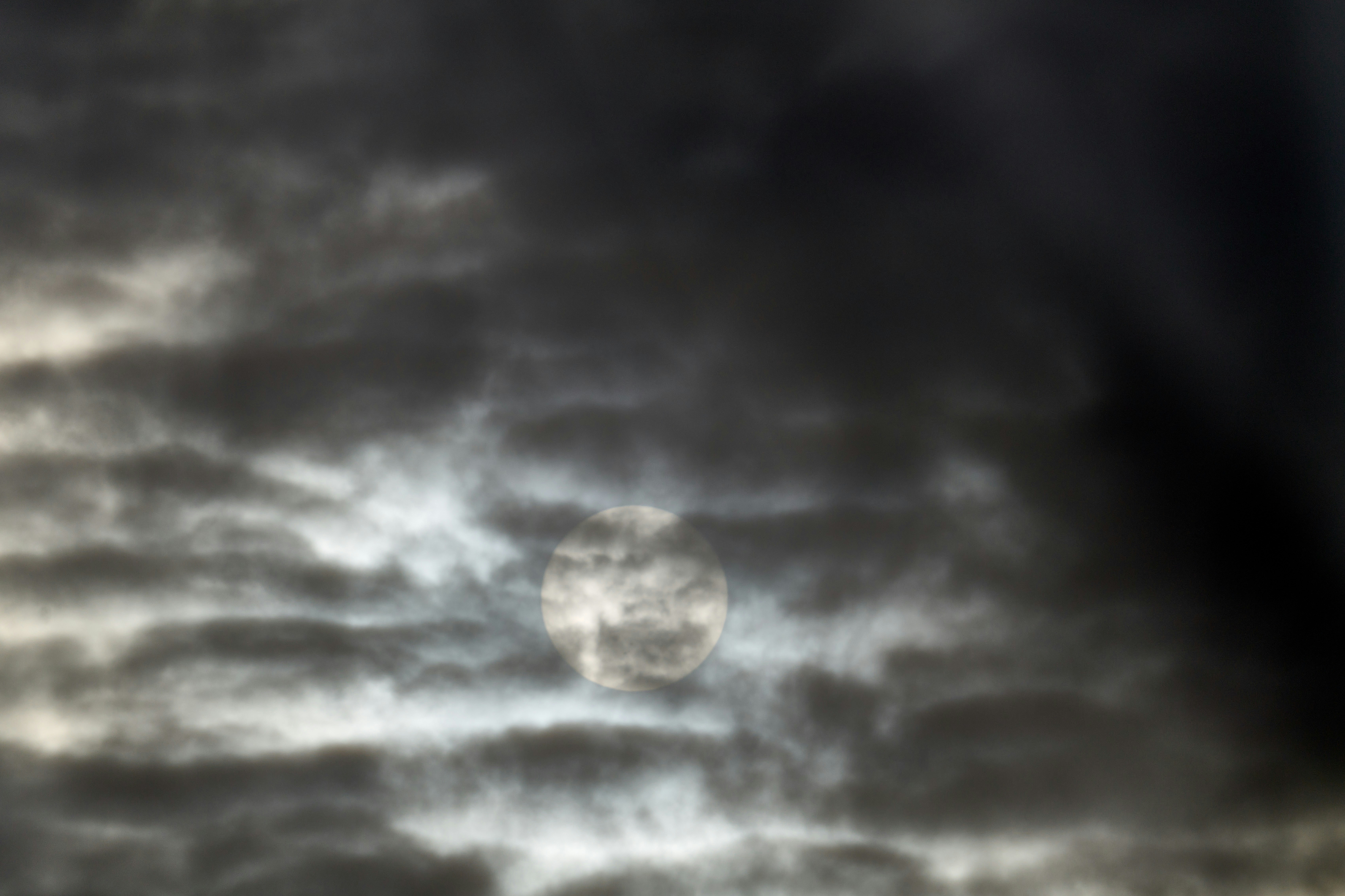 Photo by wolfgang_hasselmann