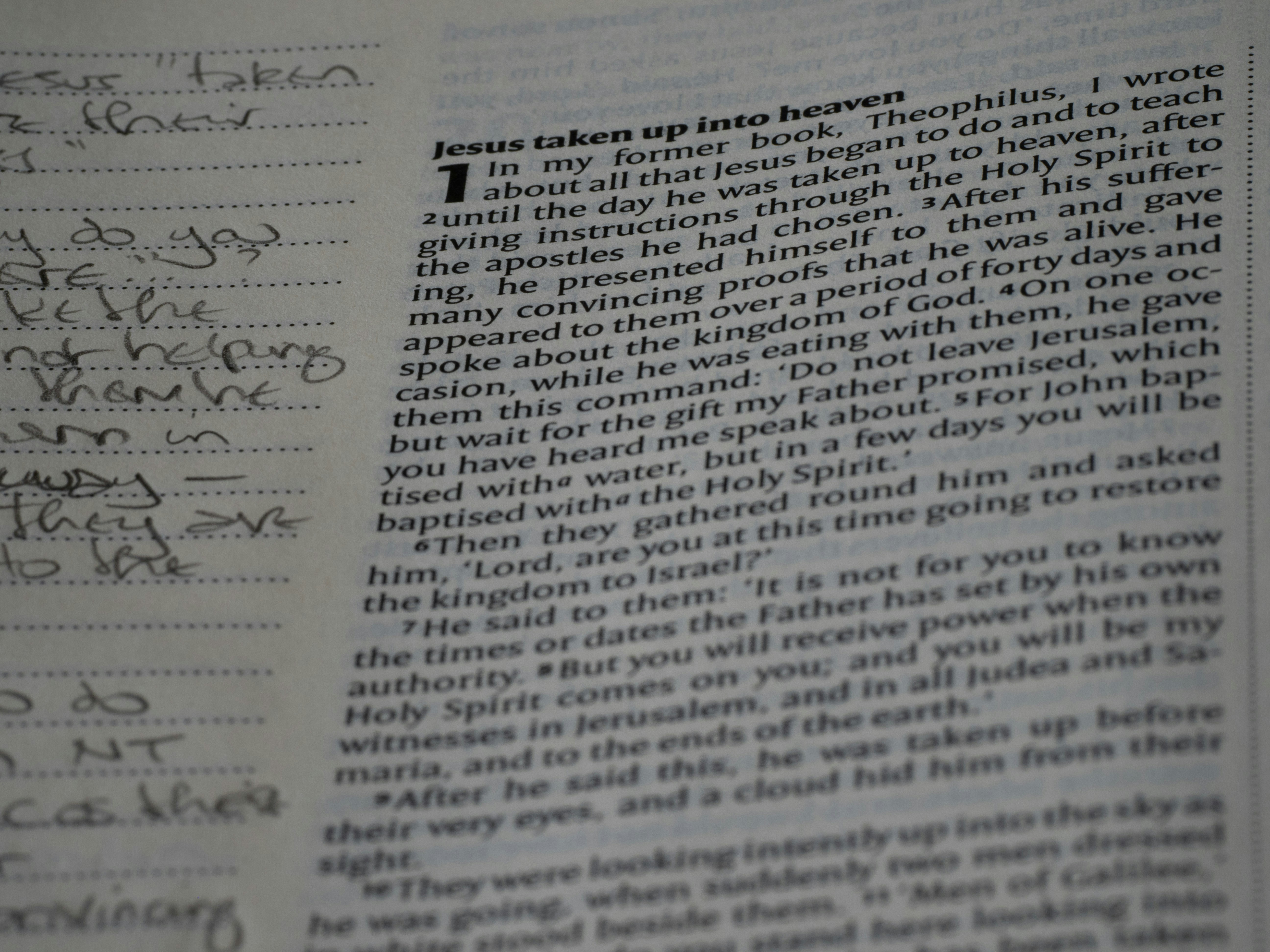 Photo by brett_jordan