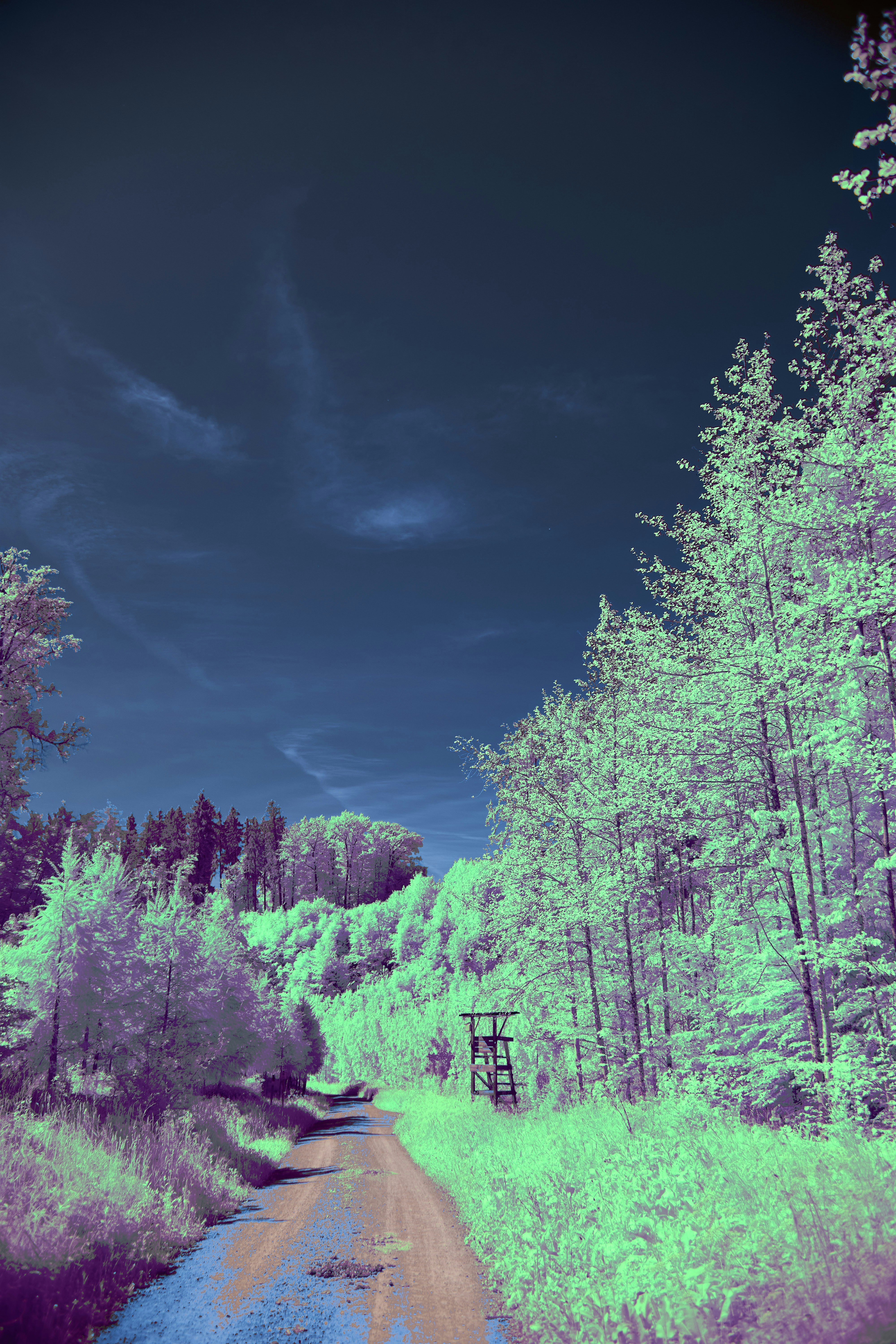 Photo by wolfgang_hasselmann