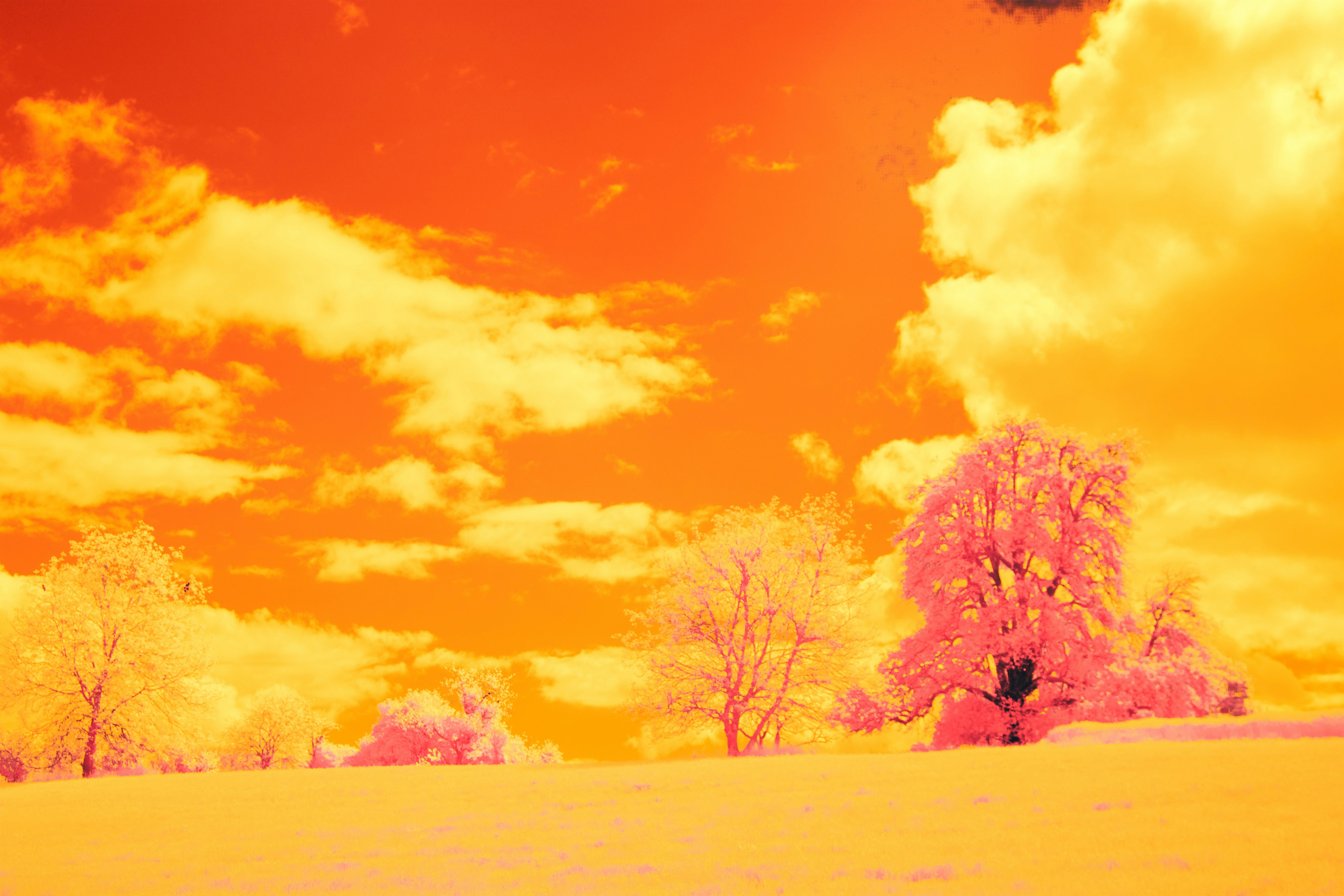 Photo by wolfgang_hasselmann