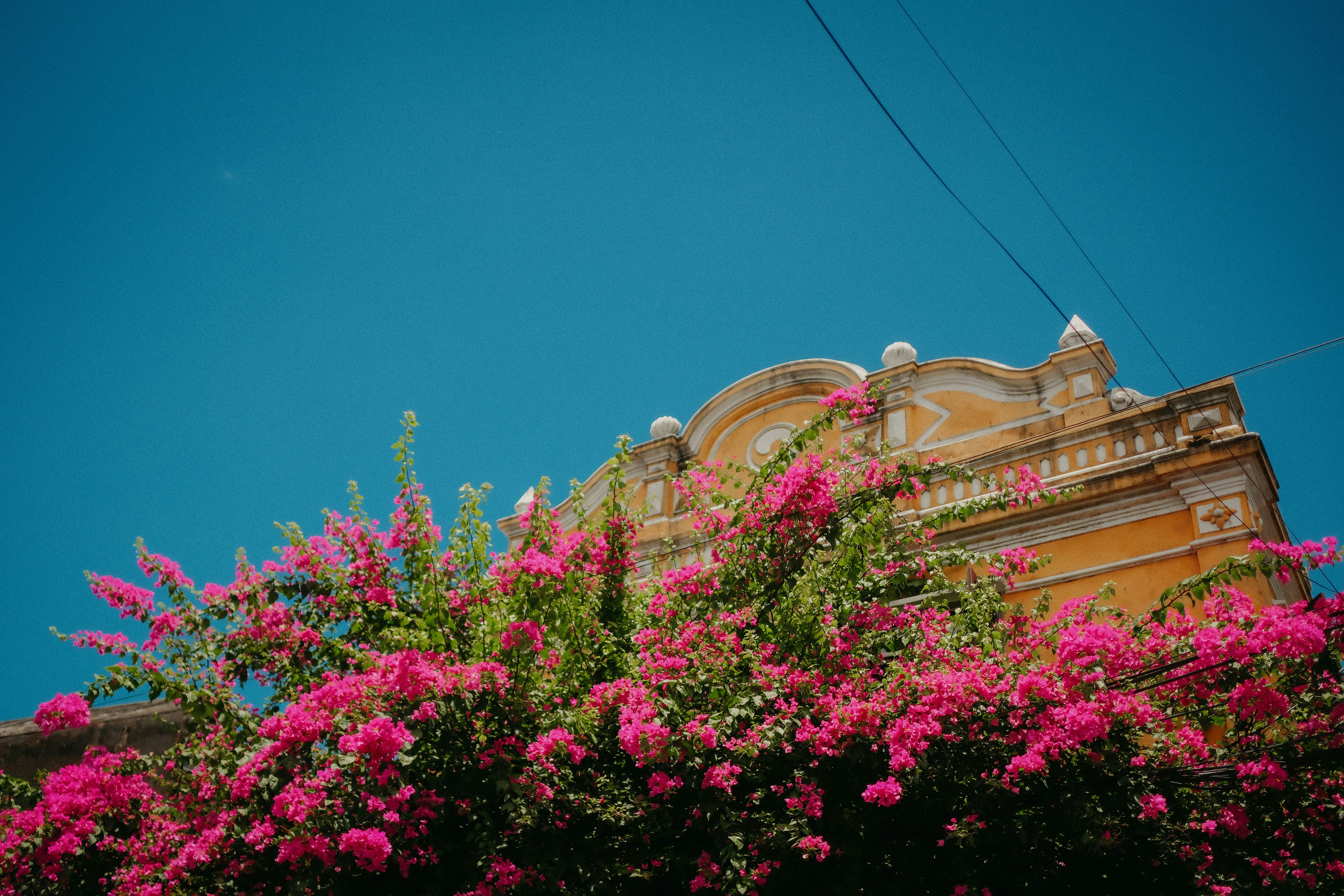 Photo by heychapalang