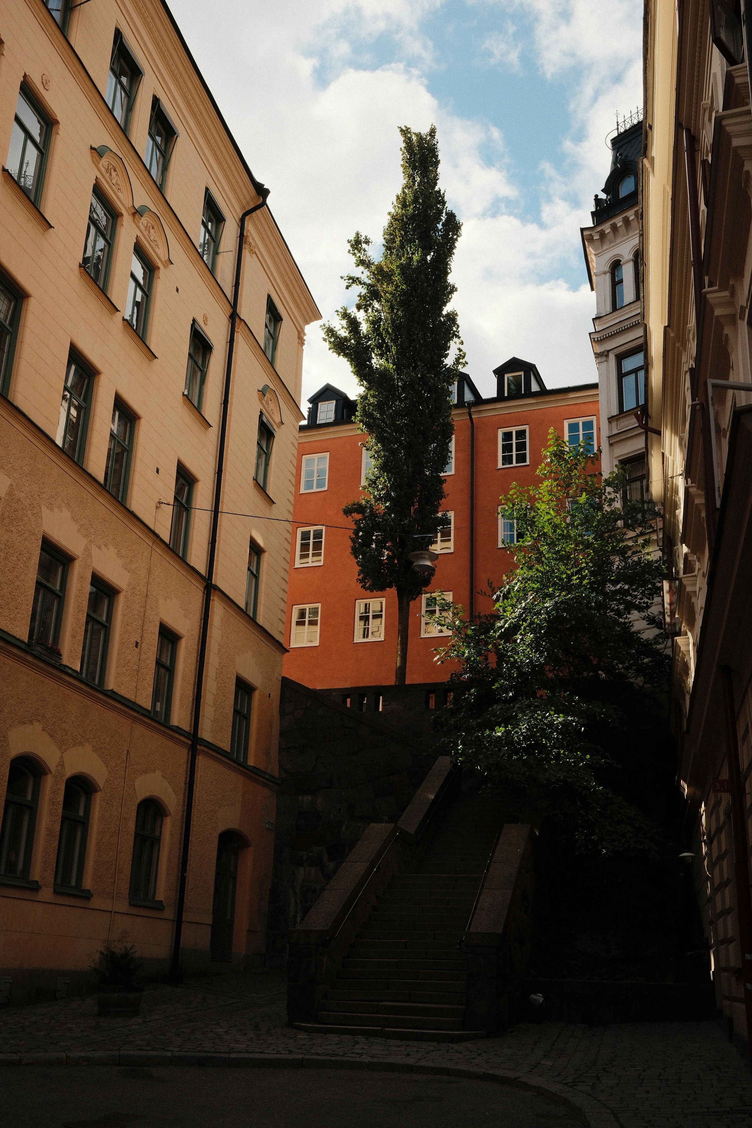 Photo by laurenceziegler