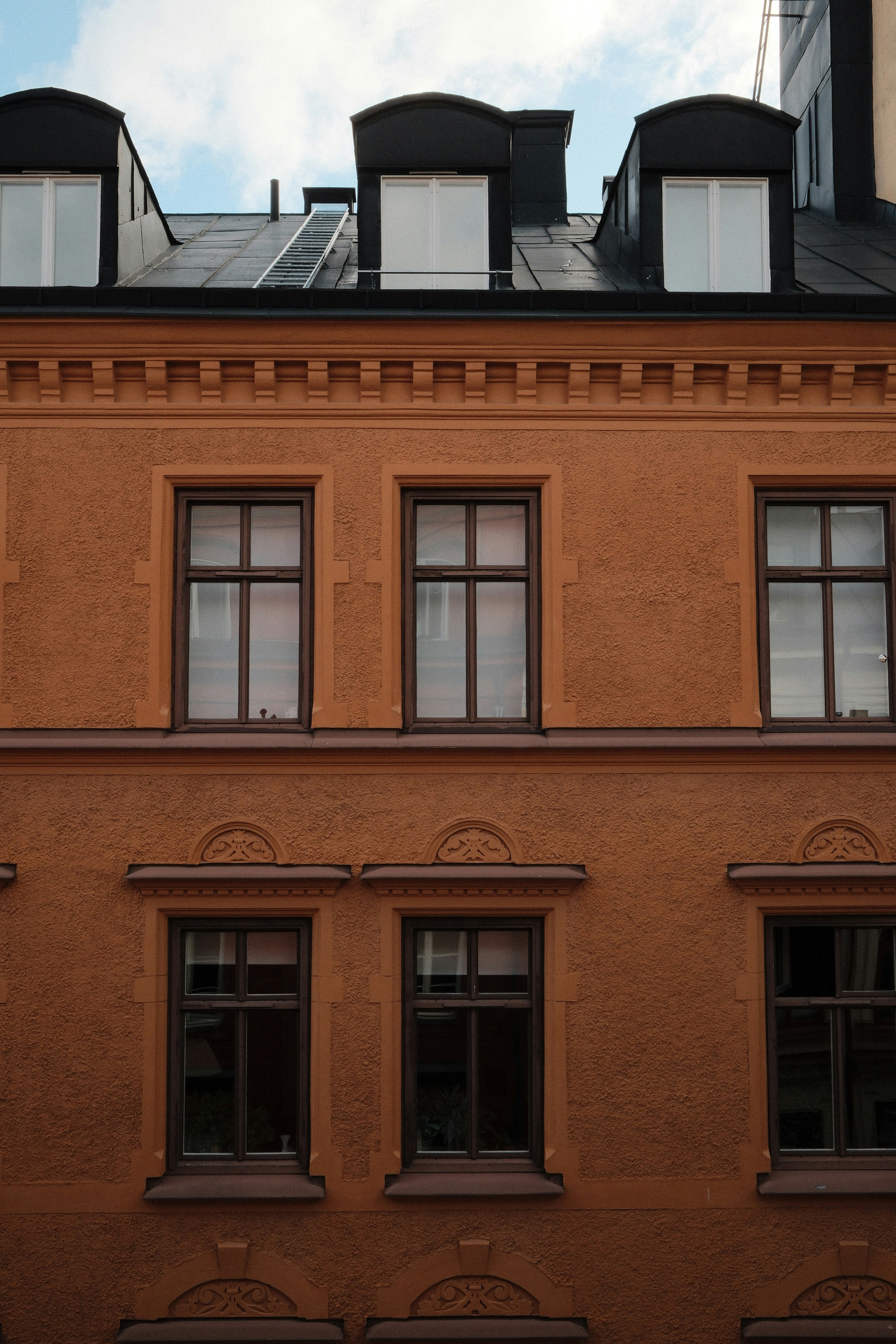 Photo by laurenceziegler