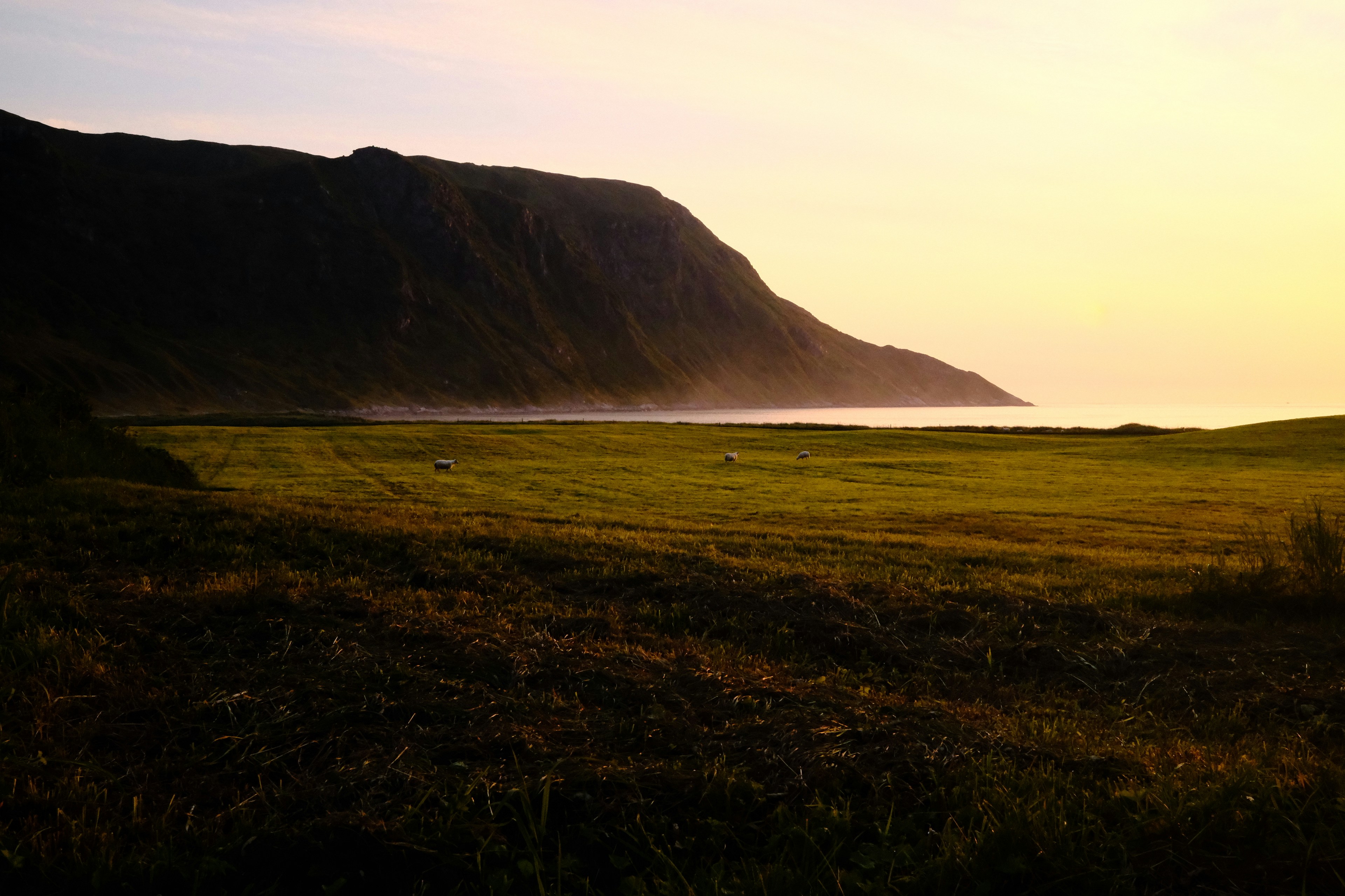 Photo by laurenceziegler