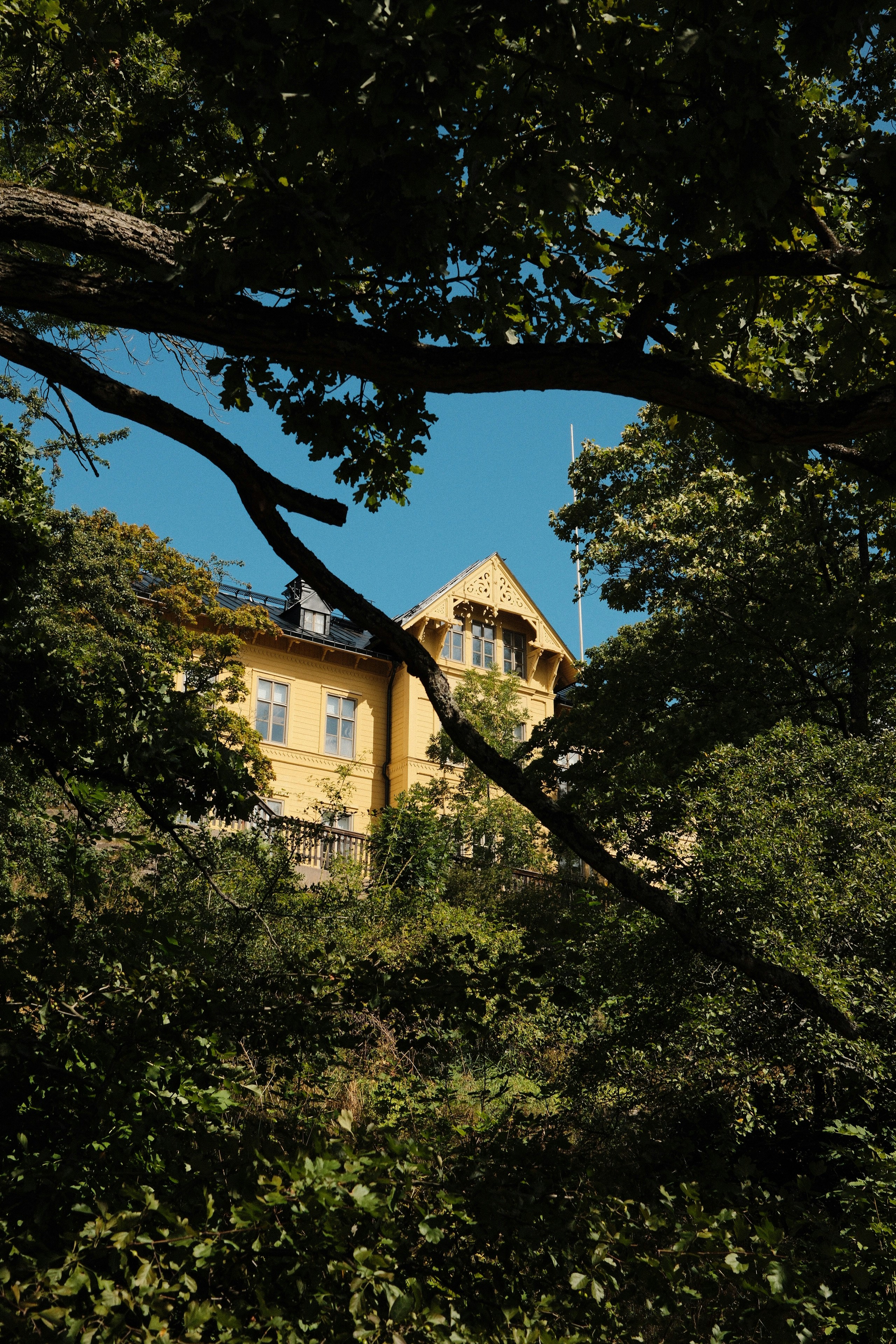 Photo by laurenceziegler