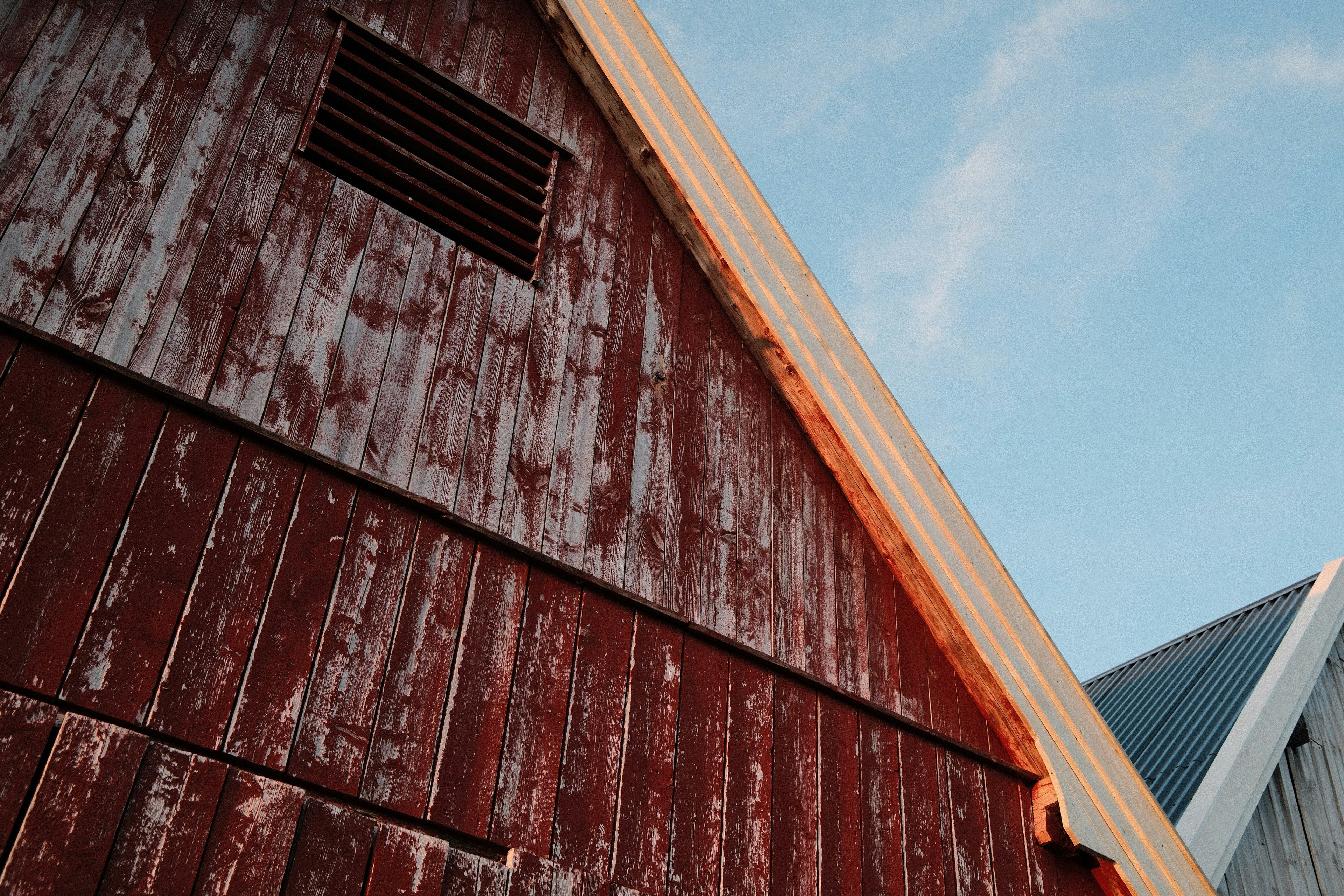 Photo by laurenceziegler