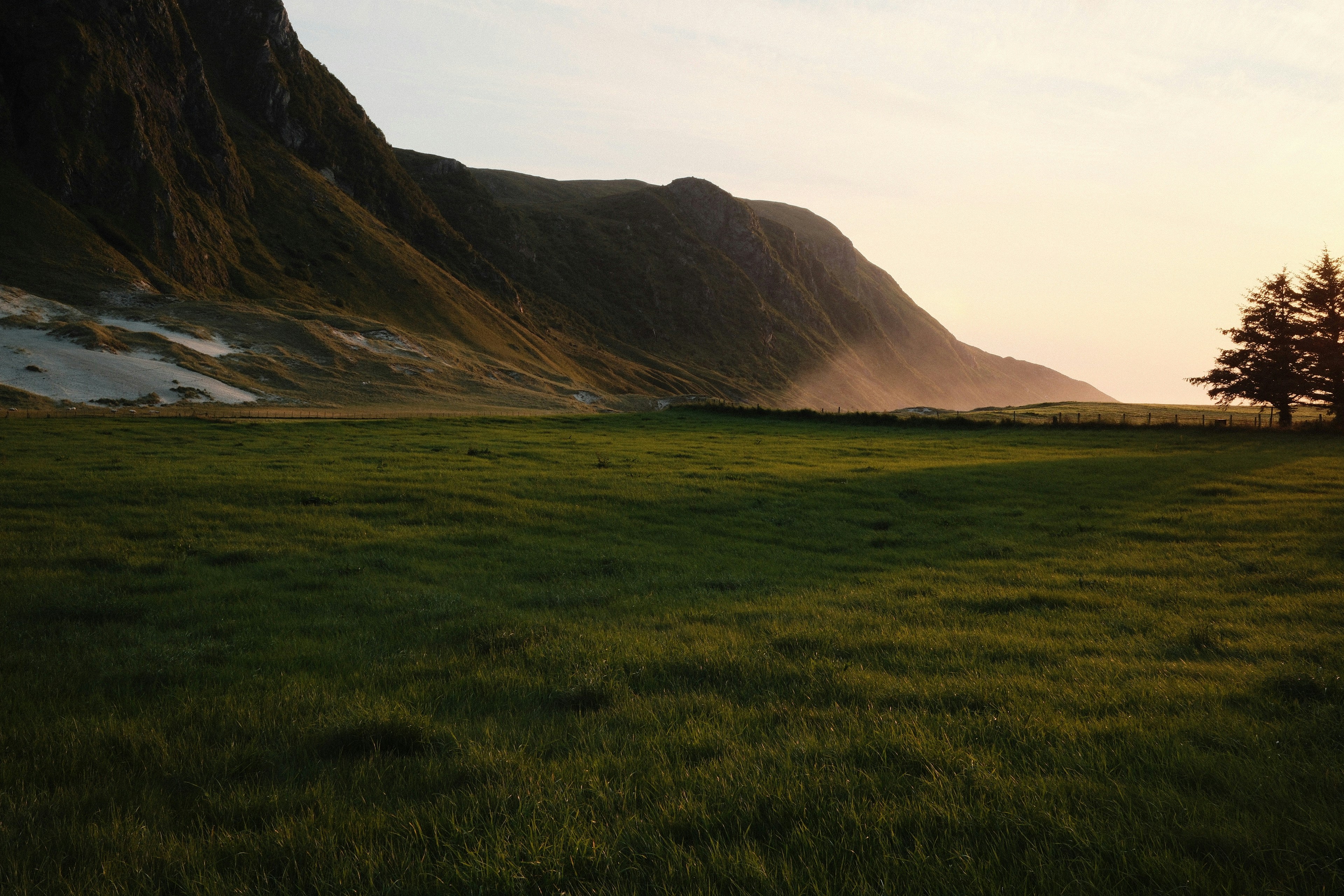 Photo by laurenceziegler