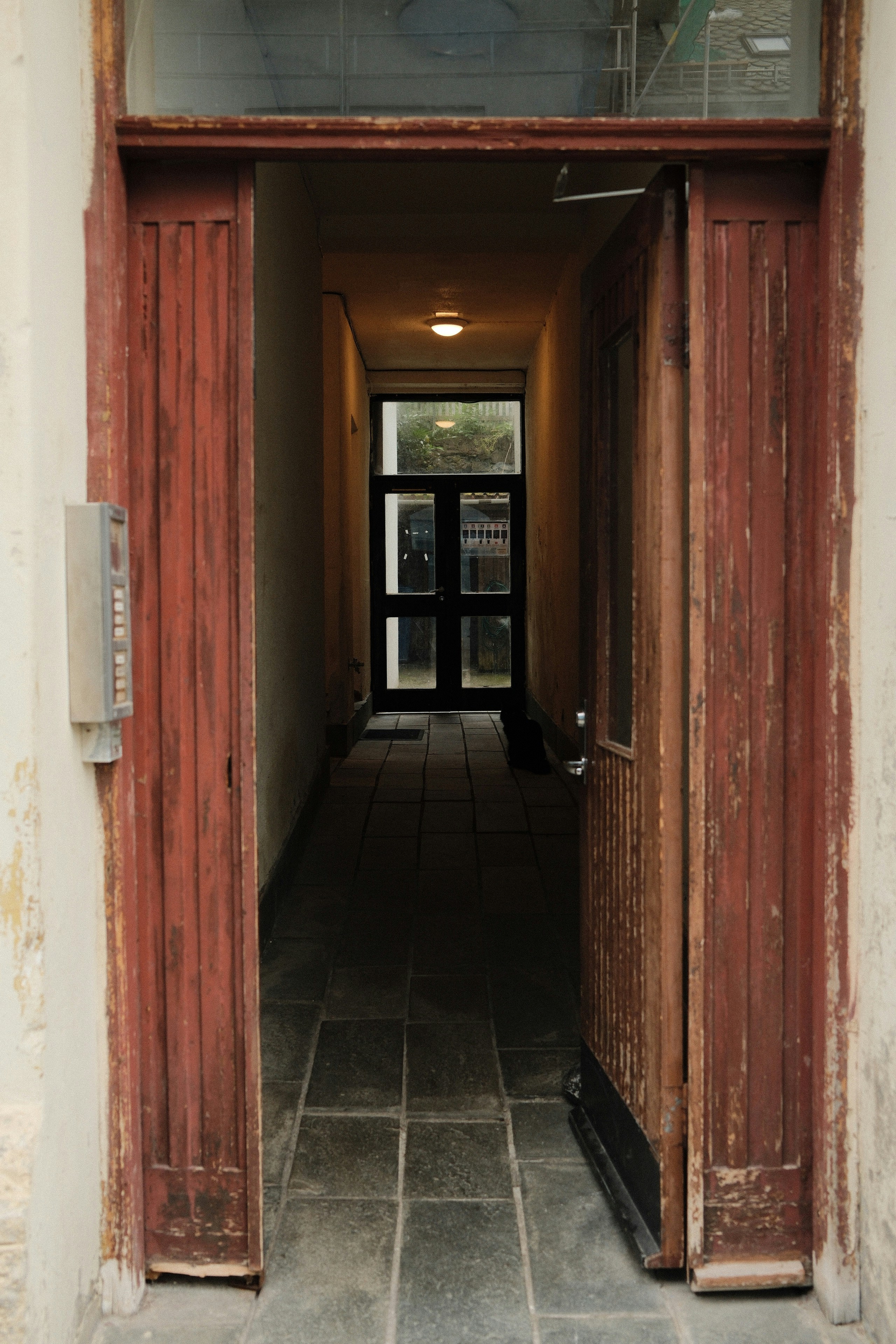 Photo by laurenceziegler