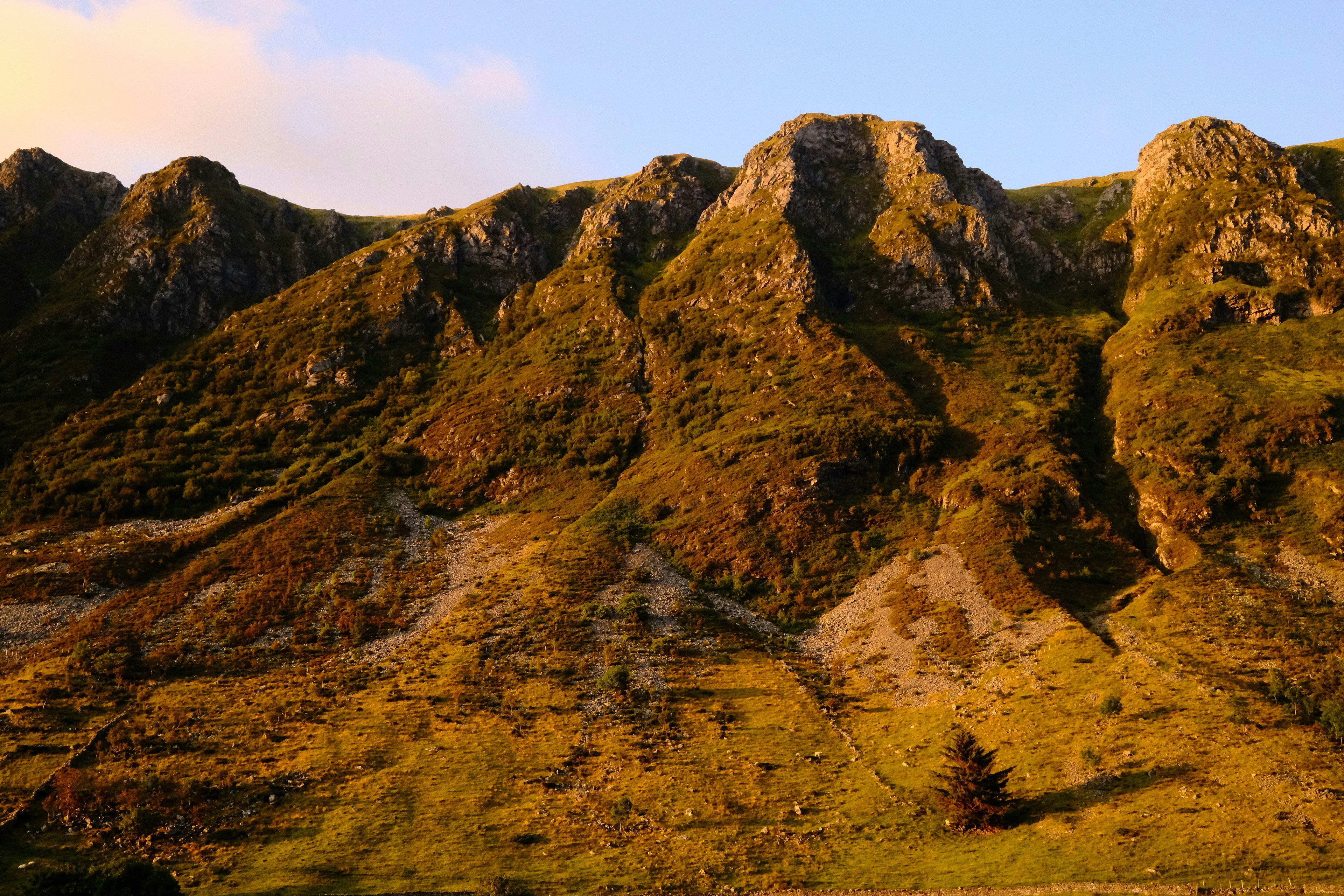 Photo by laurenceziegler