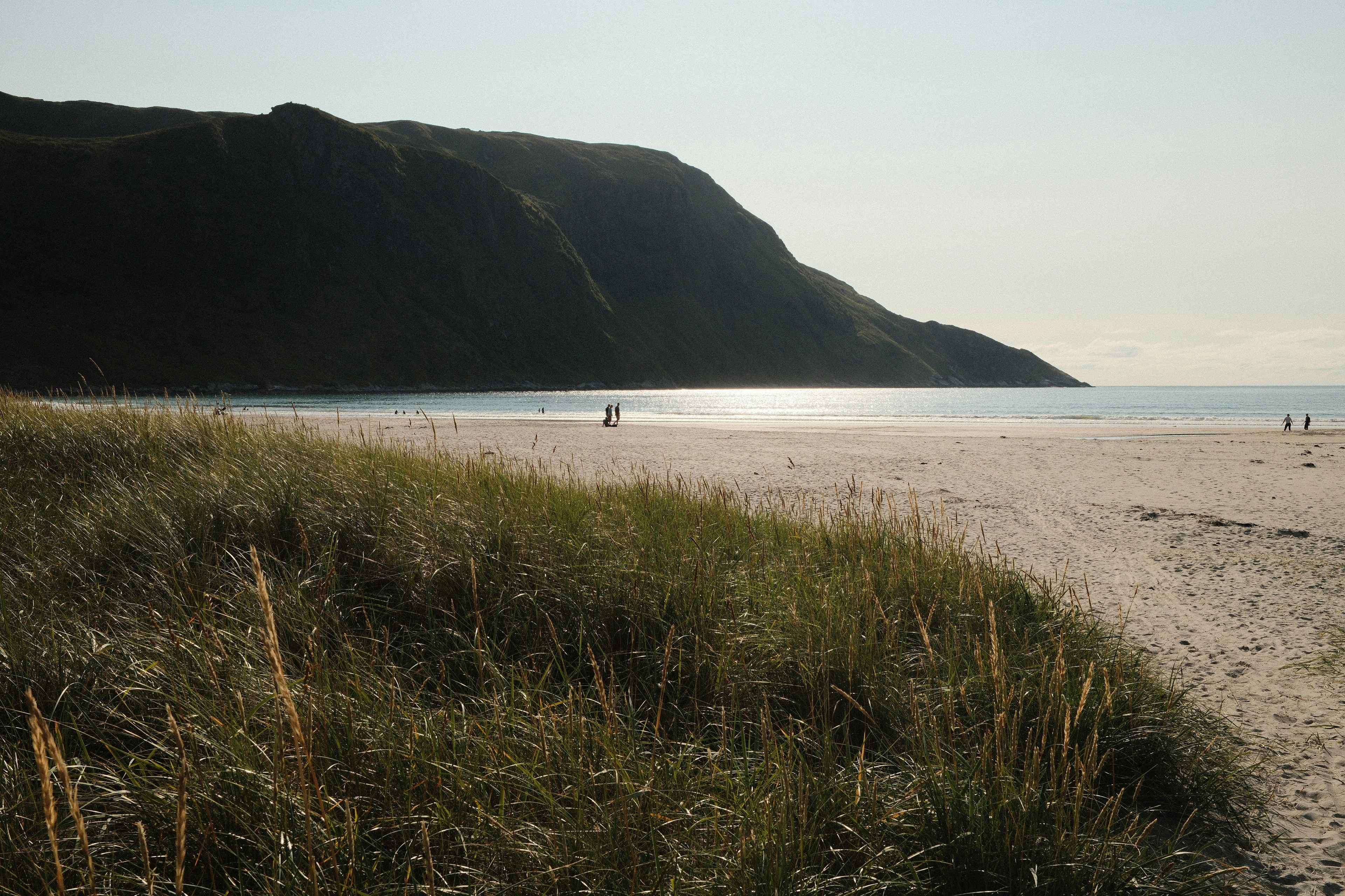 Photo by laurenceziegler
