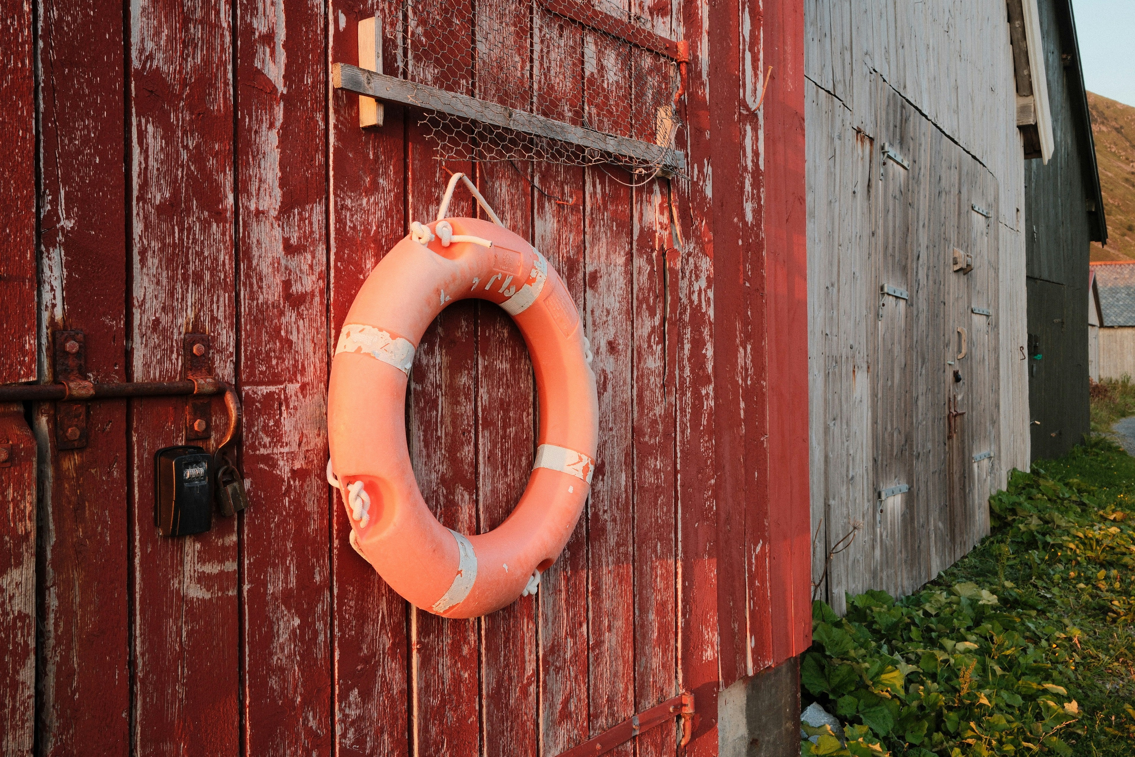 Photo by laurenceziegler