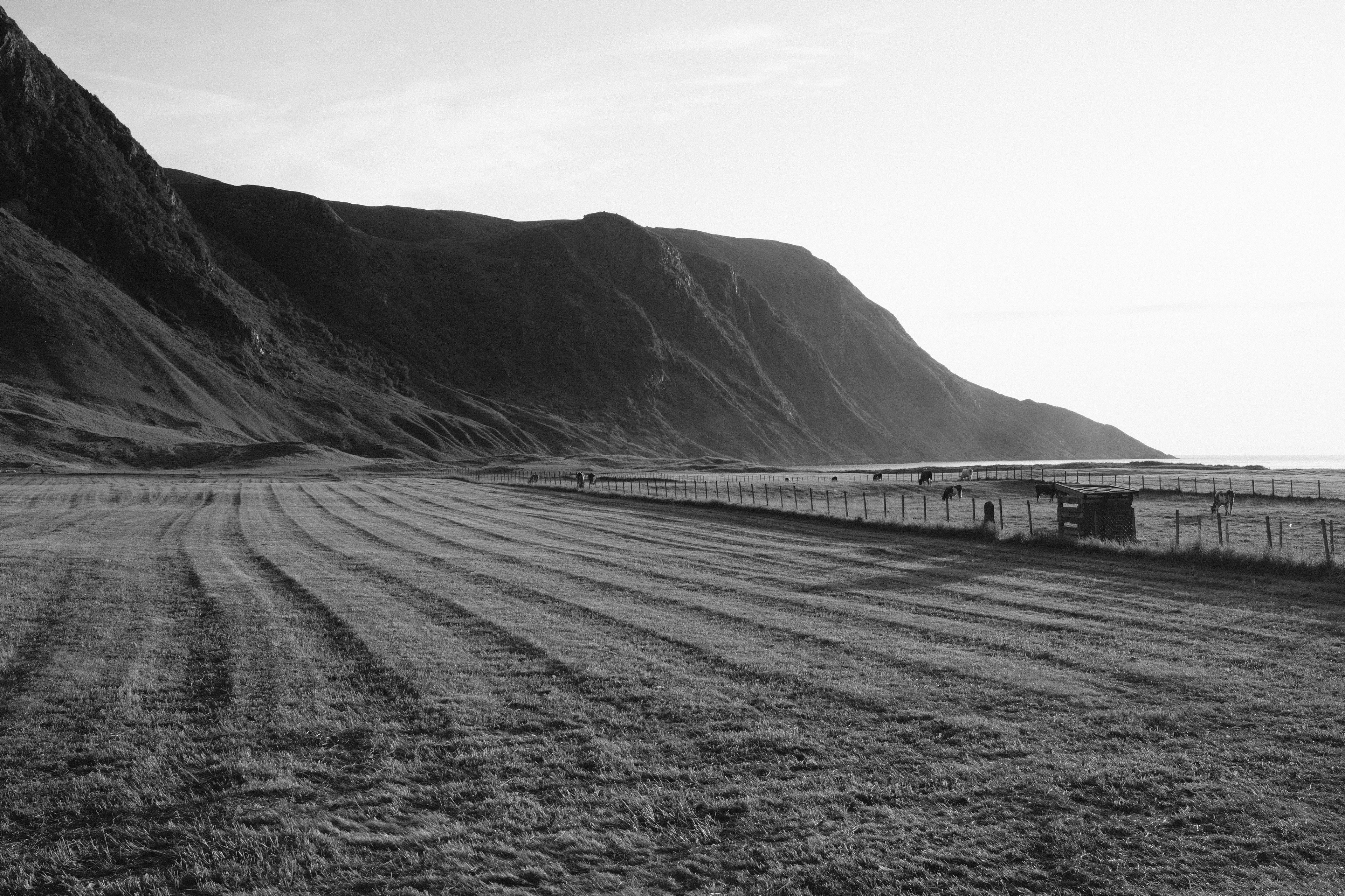 Photo by laurenceziegler