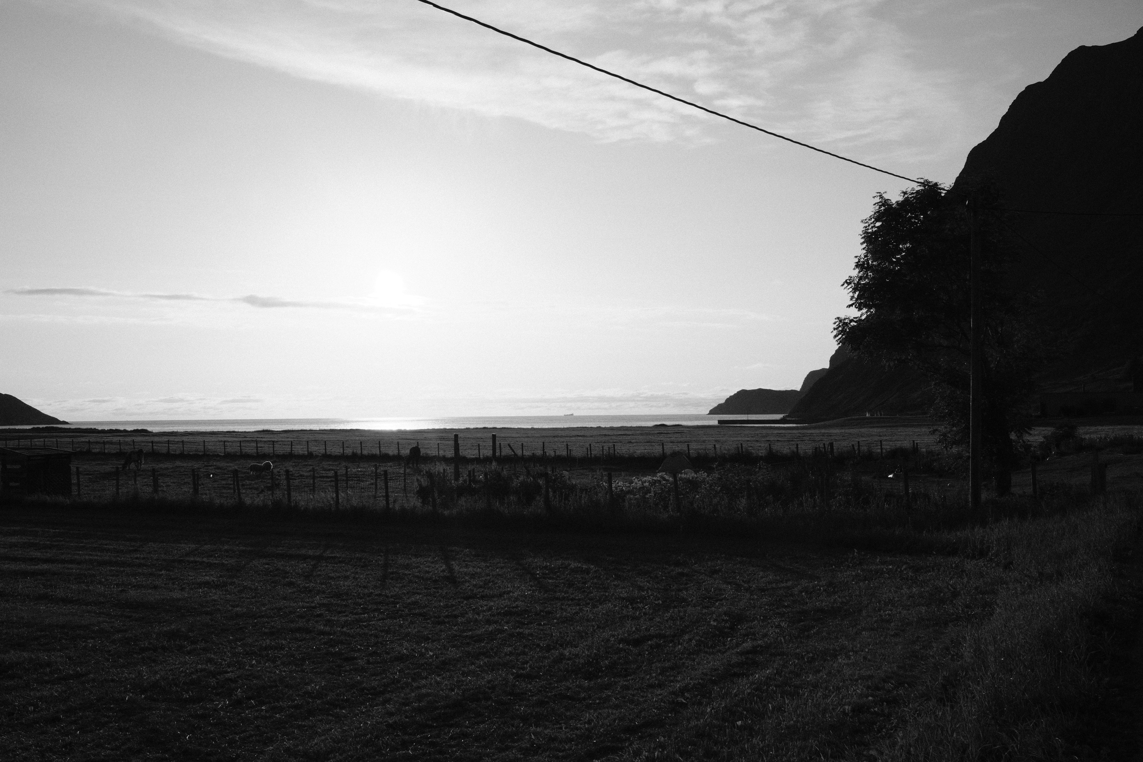 Photo by laurenceziegler