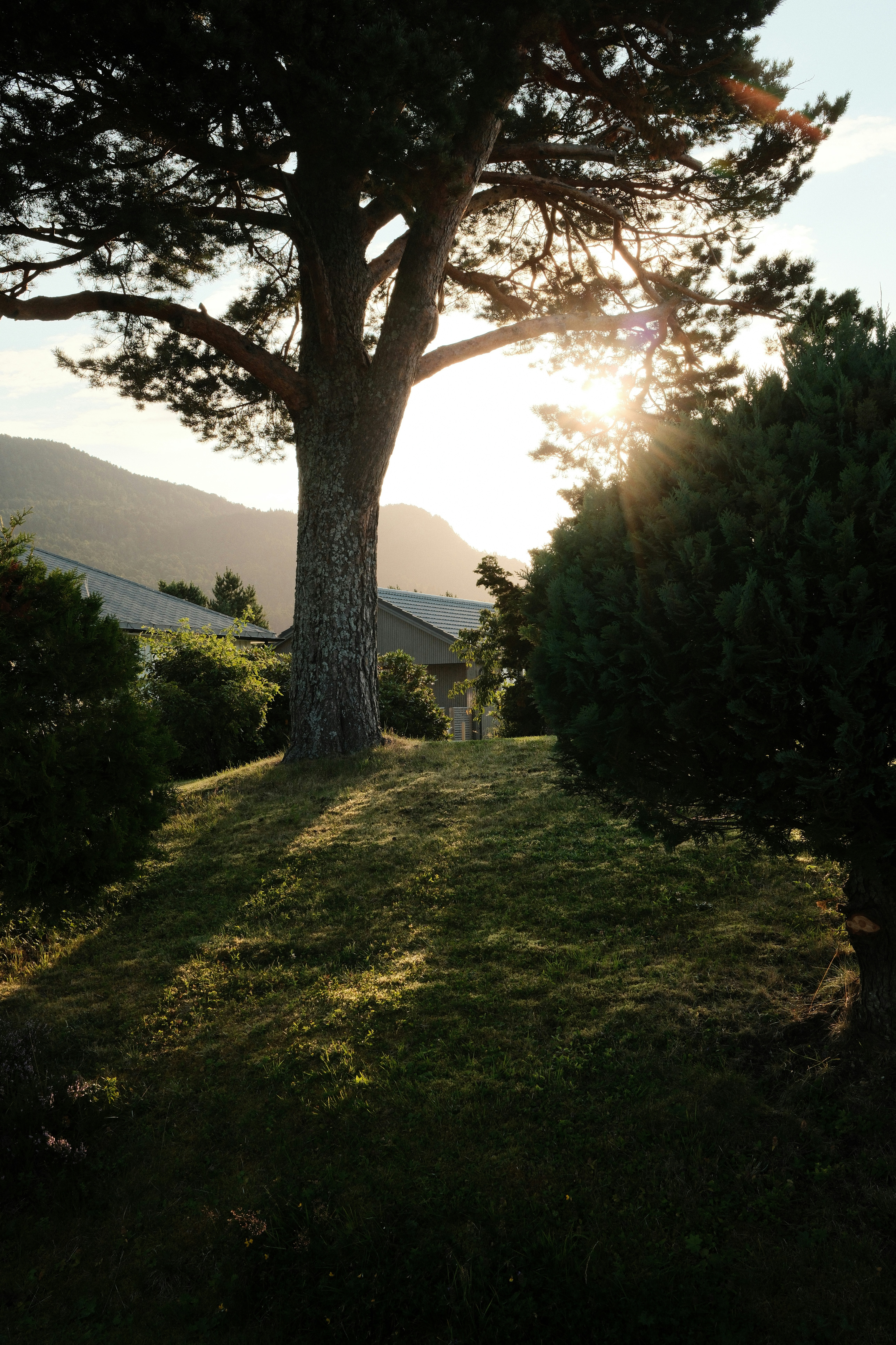 Photo by laurenceziegler