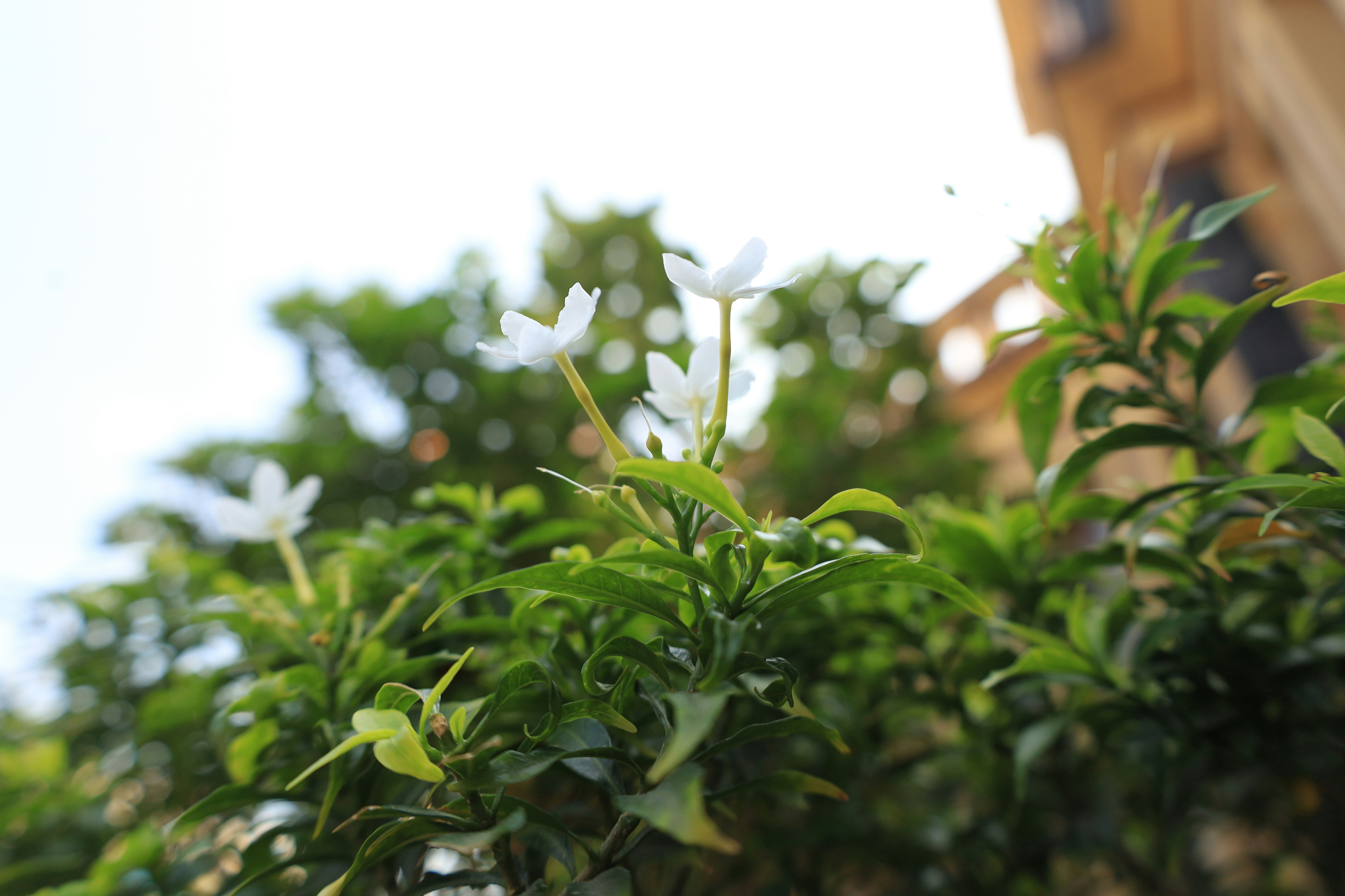 Photo by hilmanlutfi