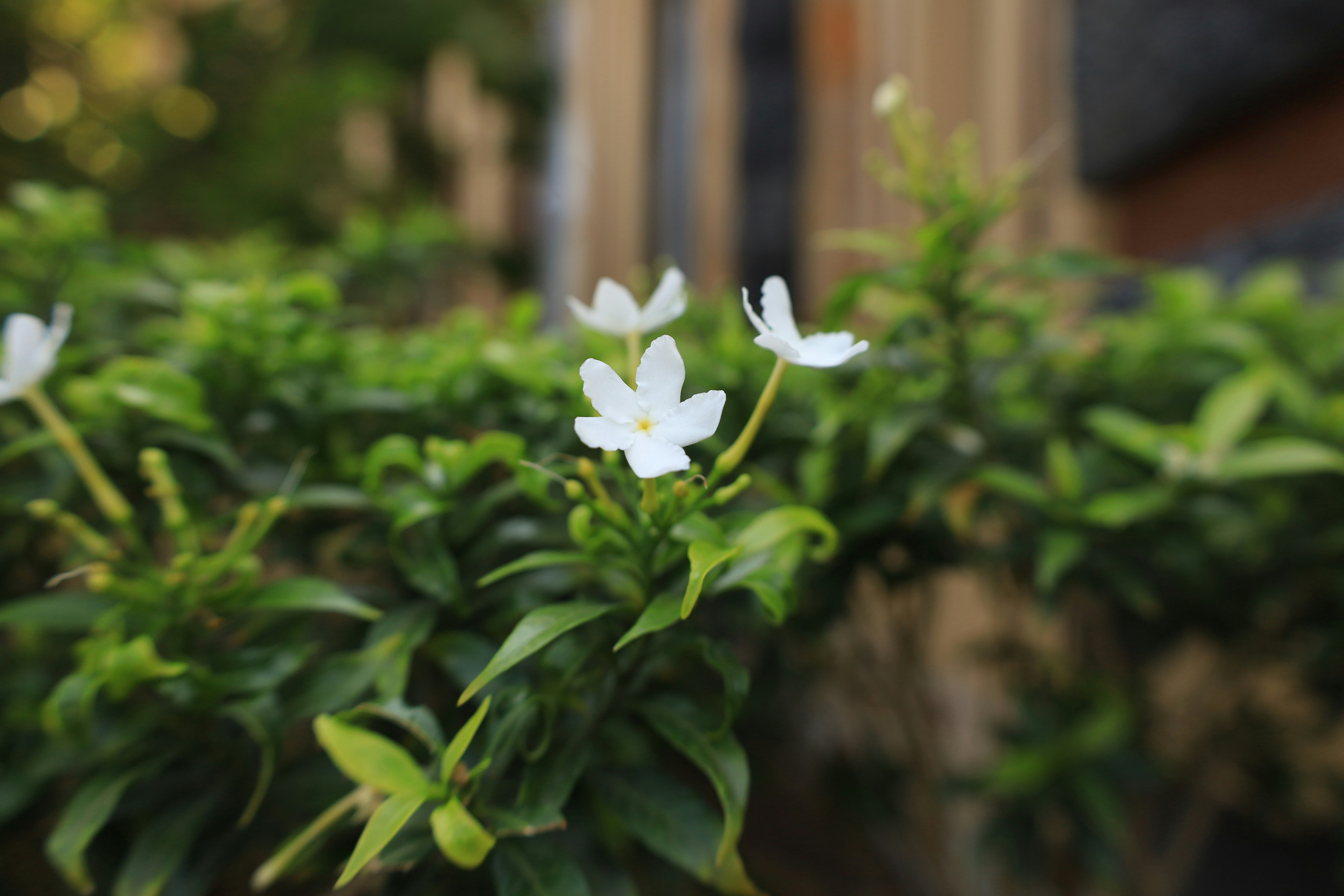 Photo by hilmanlutfi