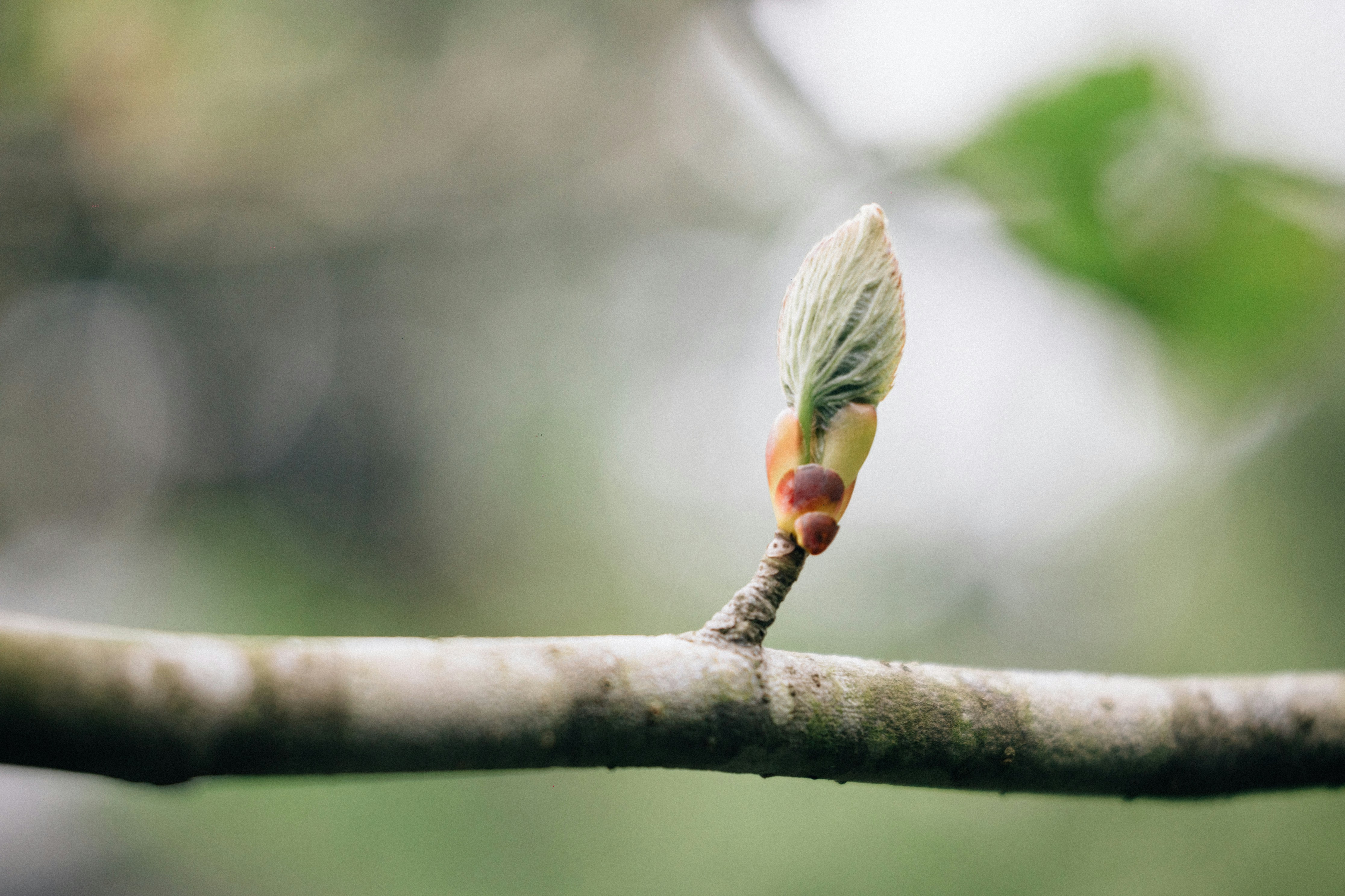 Photo by tsuyoshikozu