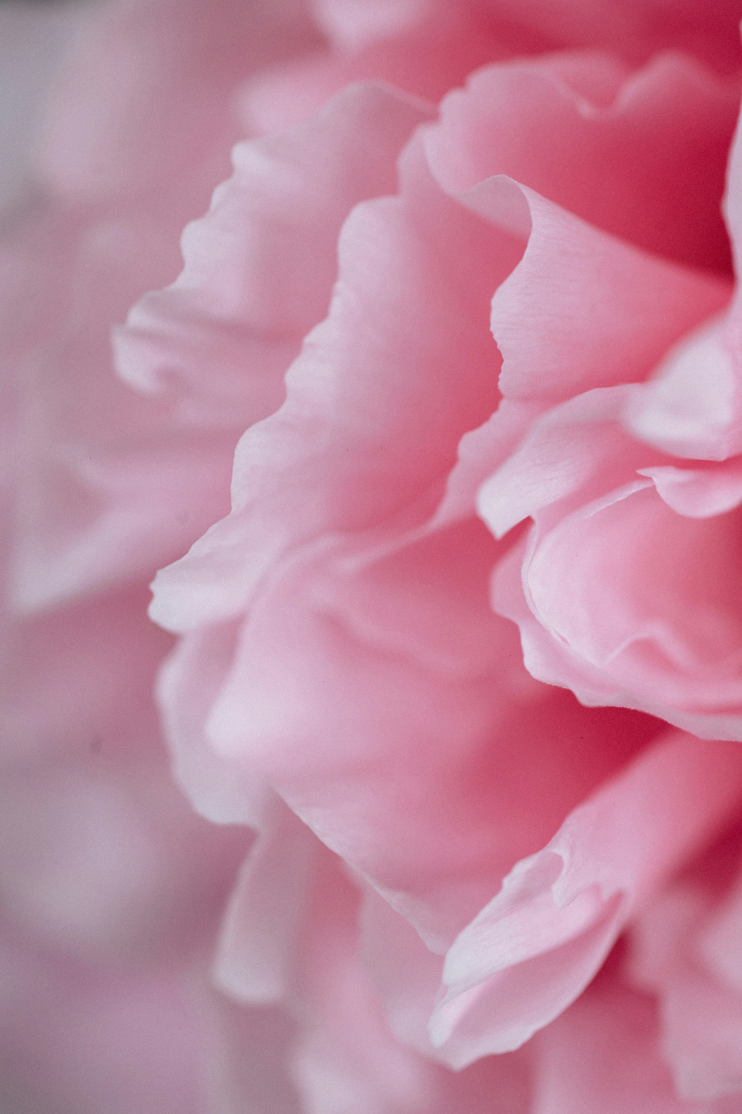 Photo by tsuyoshikozu