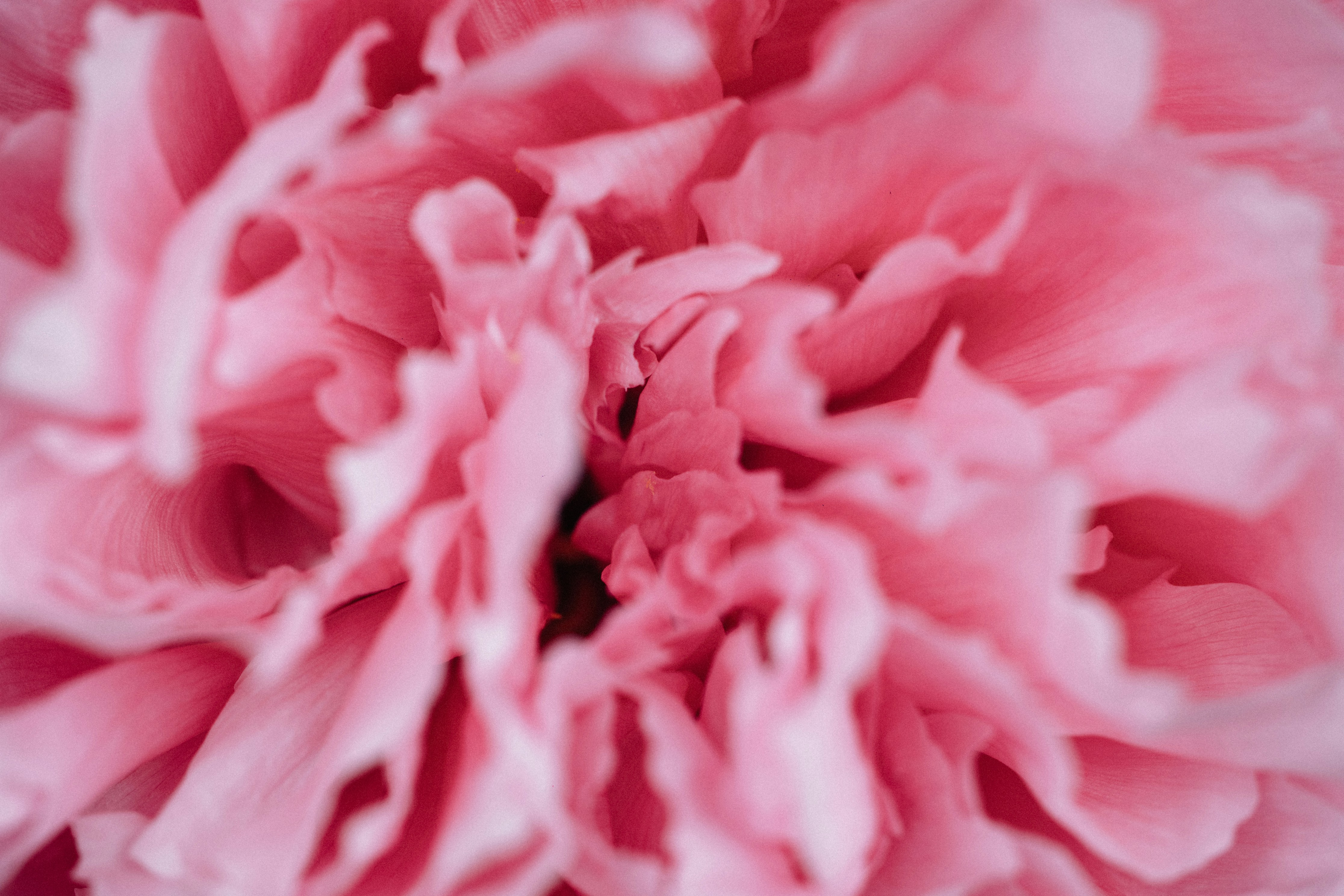 Photo by tsuyoshikozu