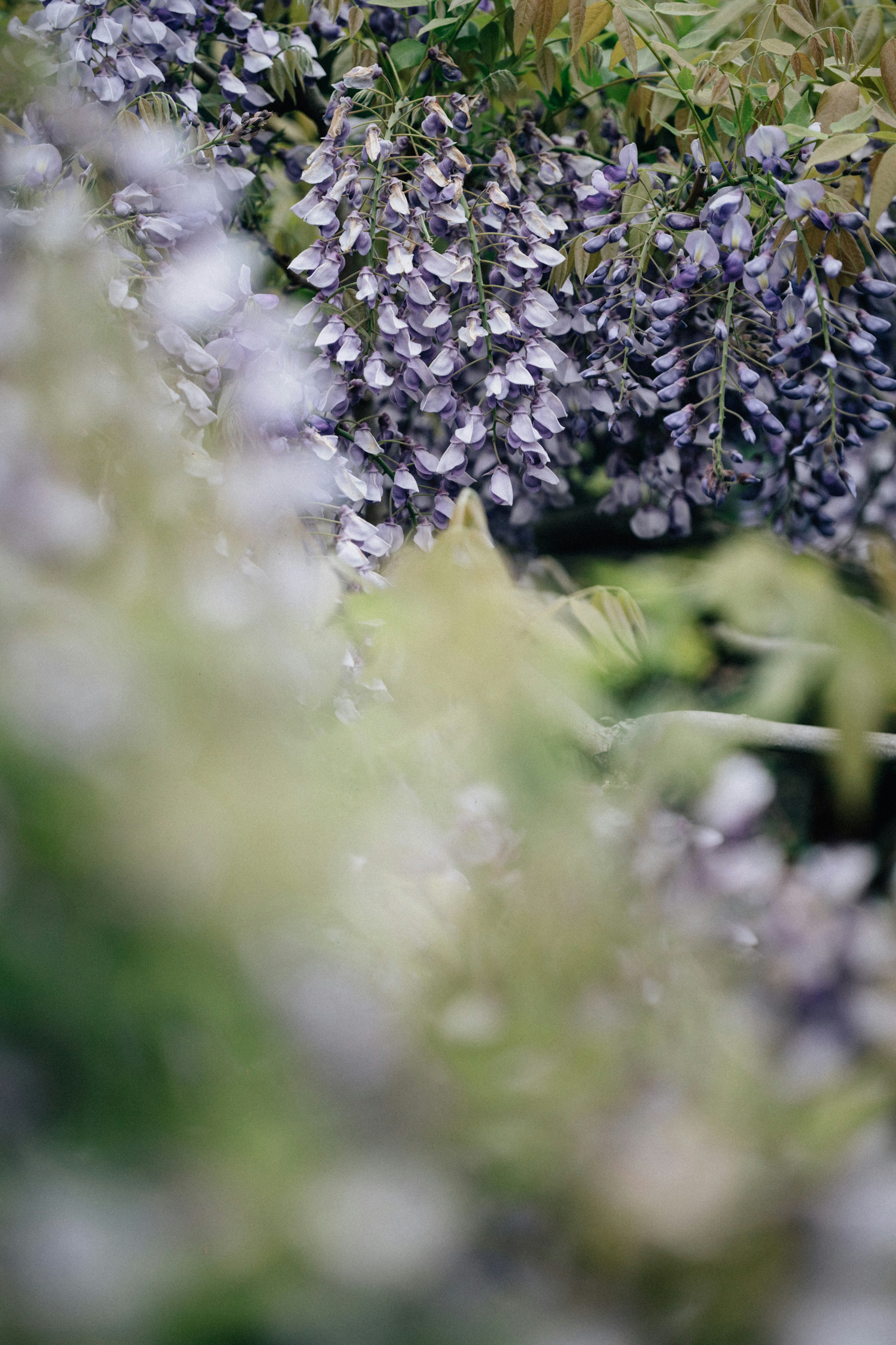 Photo by tsuyoshikozu