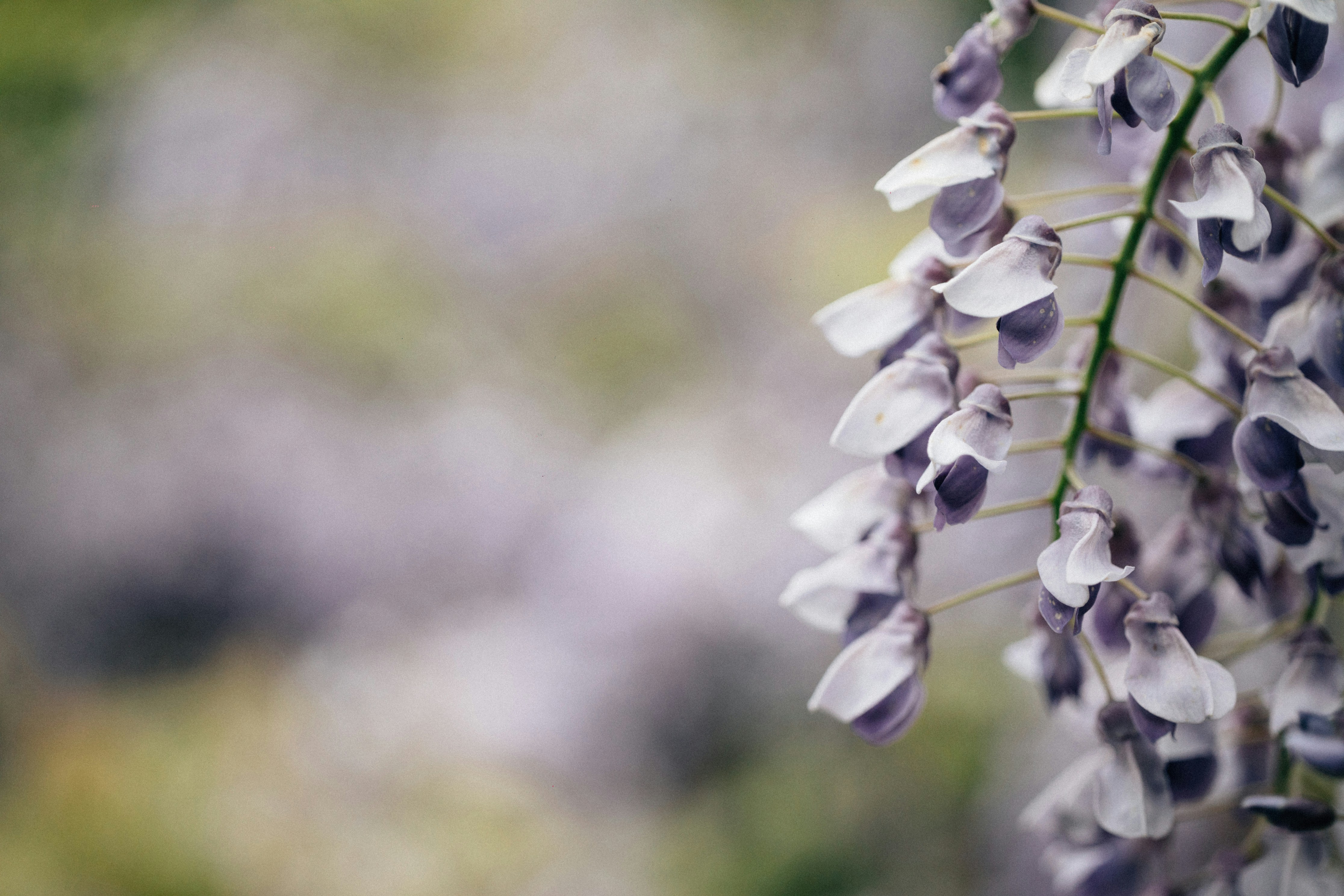 Photo by tsuyoshikozu