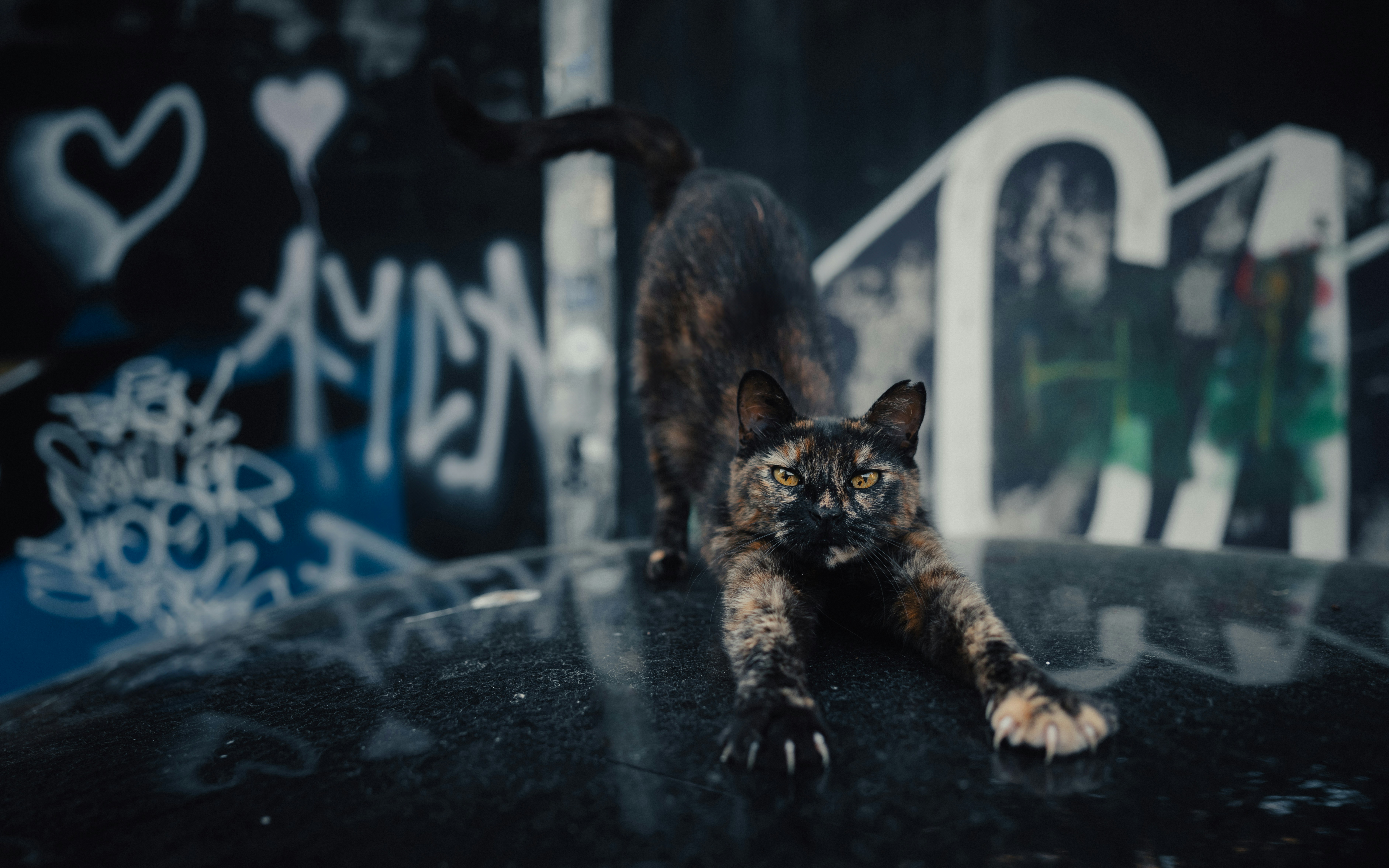 재직 중 석사학위 취득이 호봉에 미치는 영향