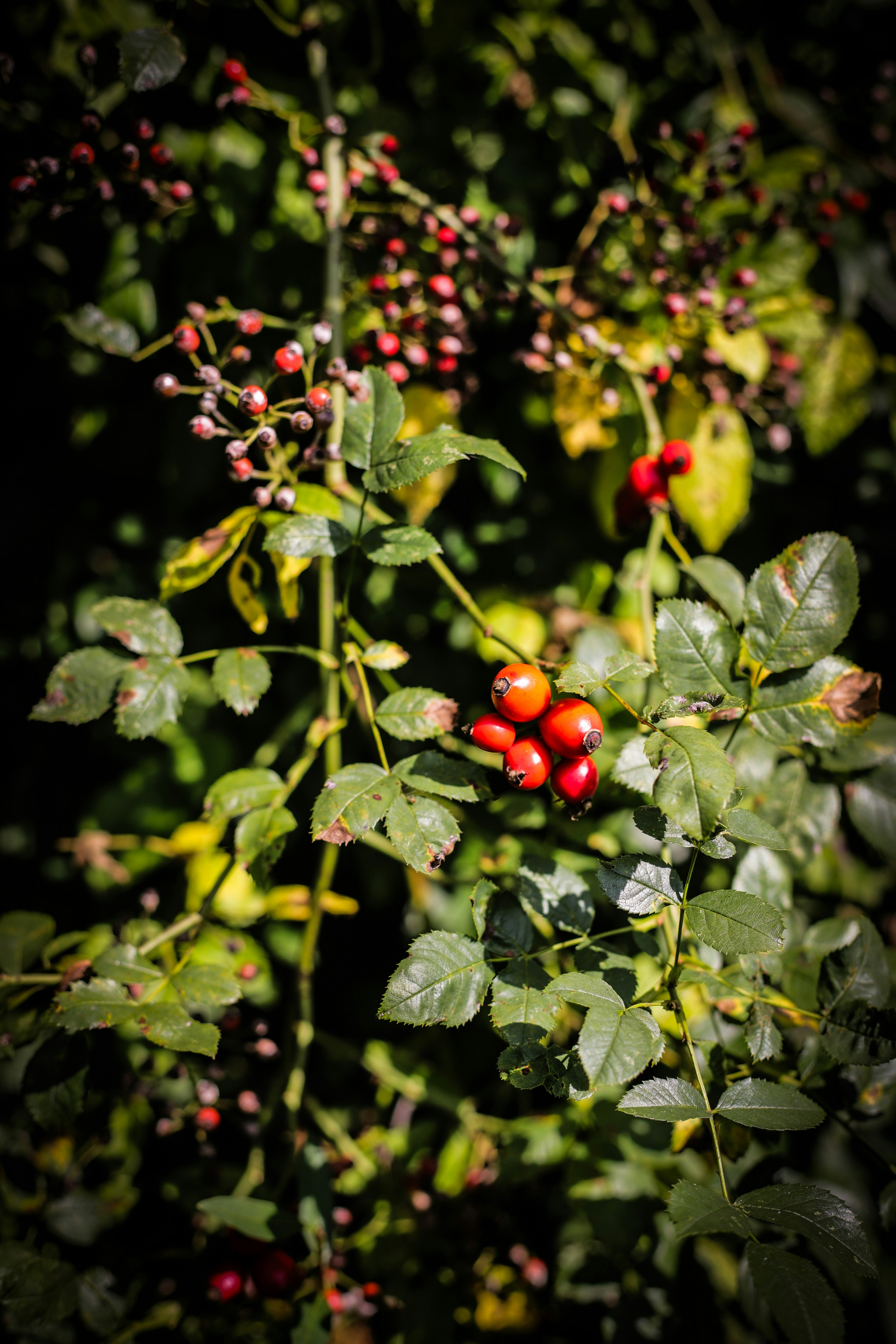 Photo by mo_tographie