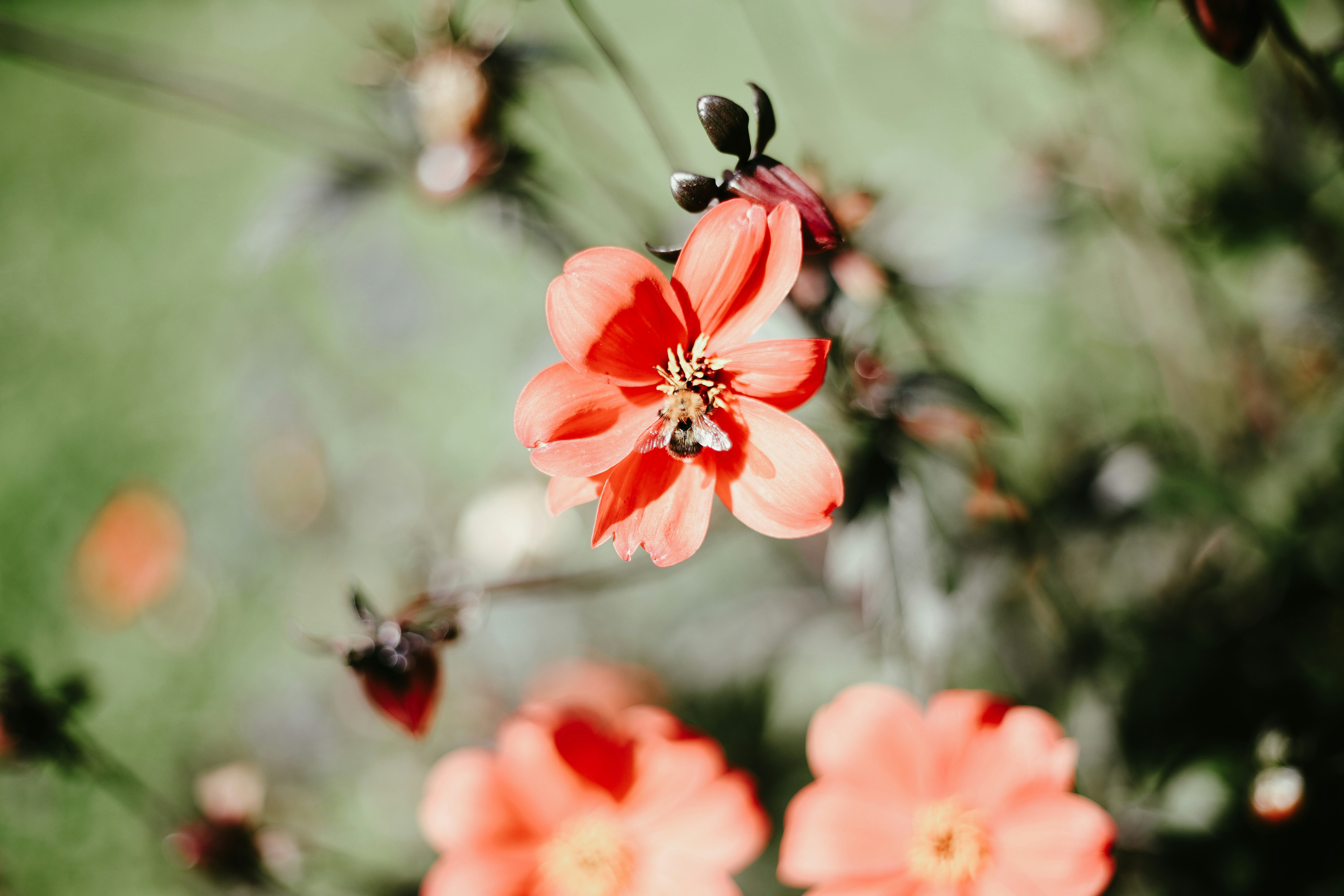 Photo by mo_tographie