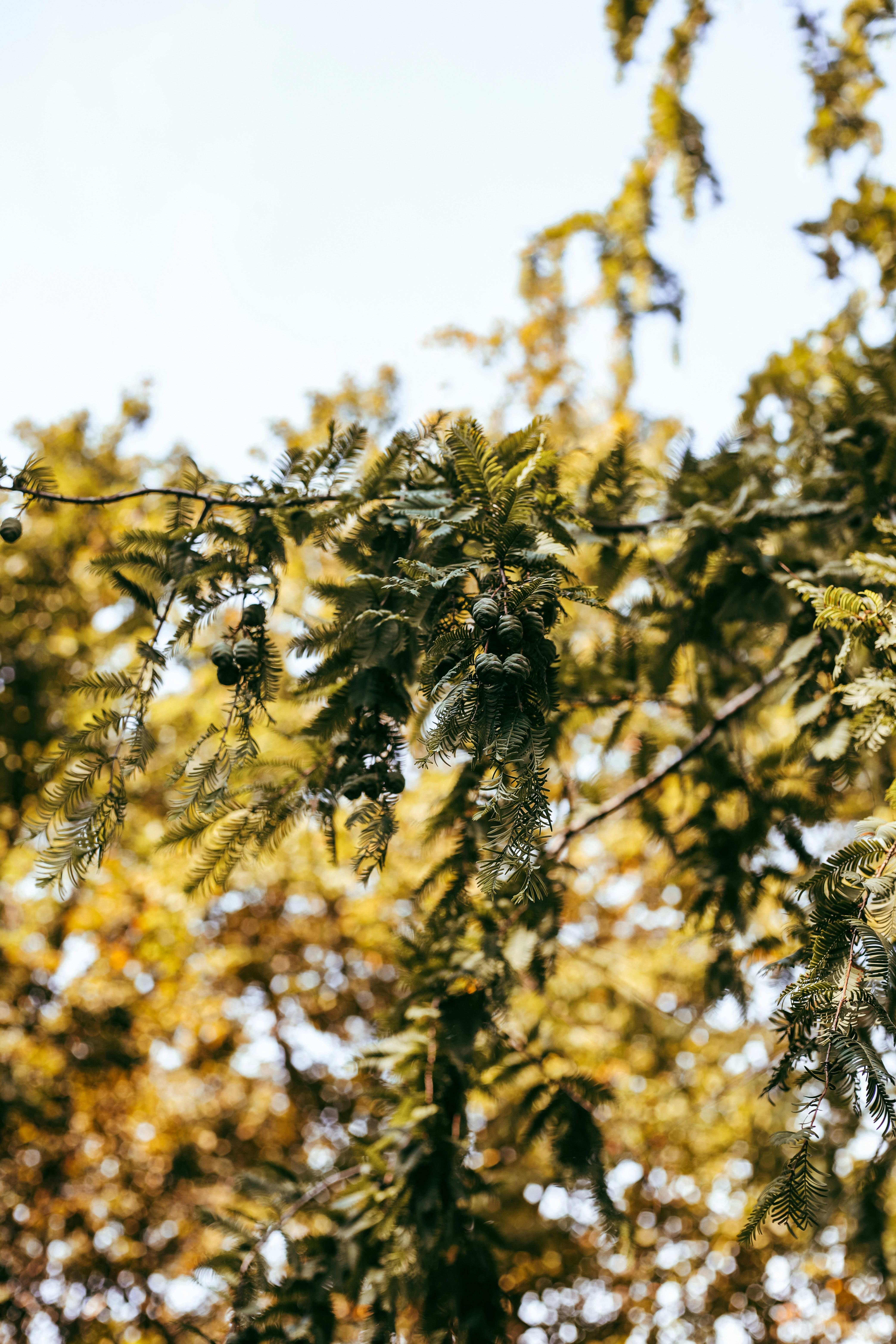 Photo by mo_tographie