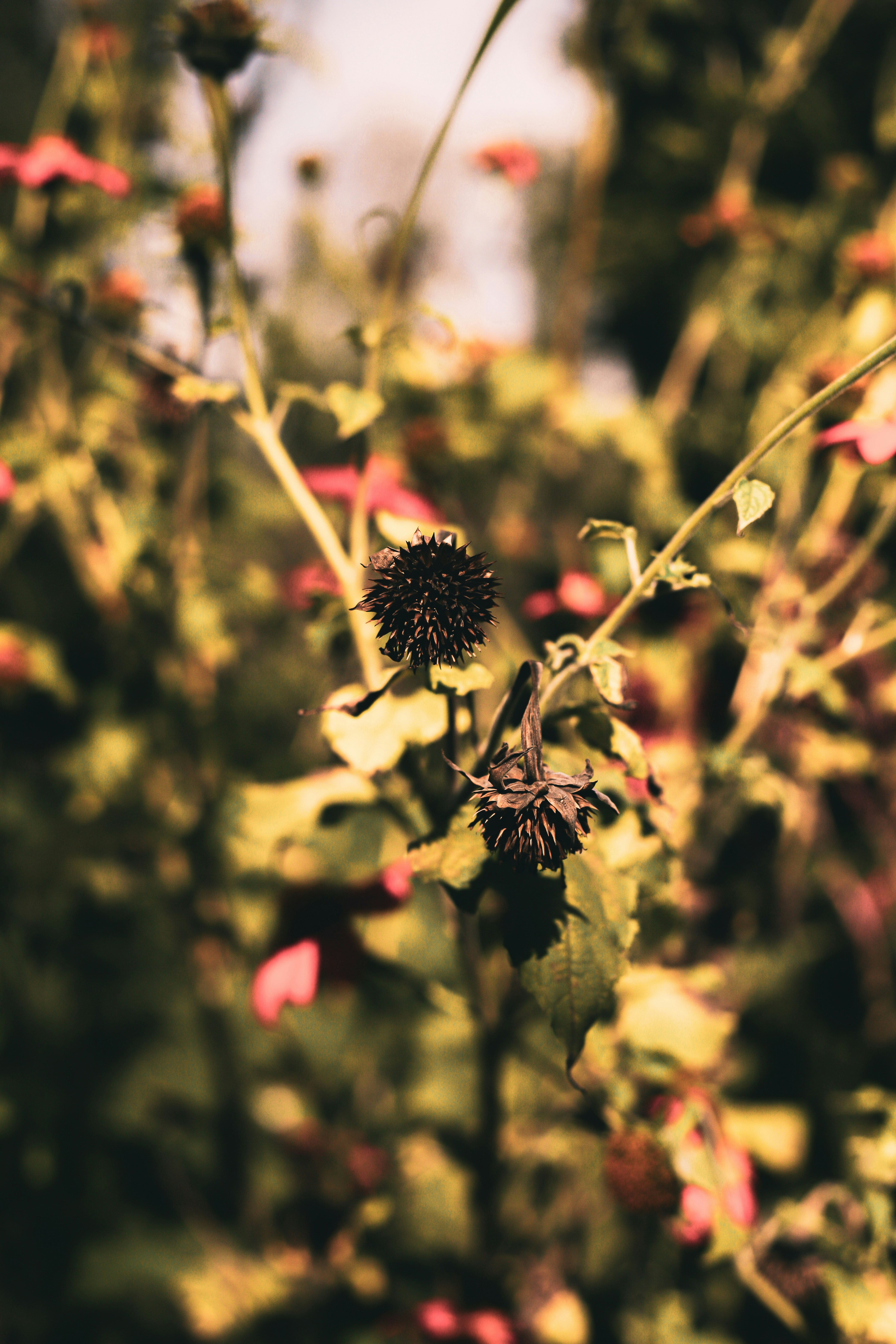 Ein Blumenstrauß, der im Gras liegt
