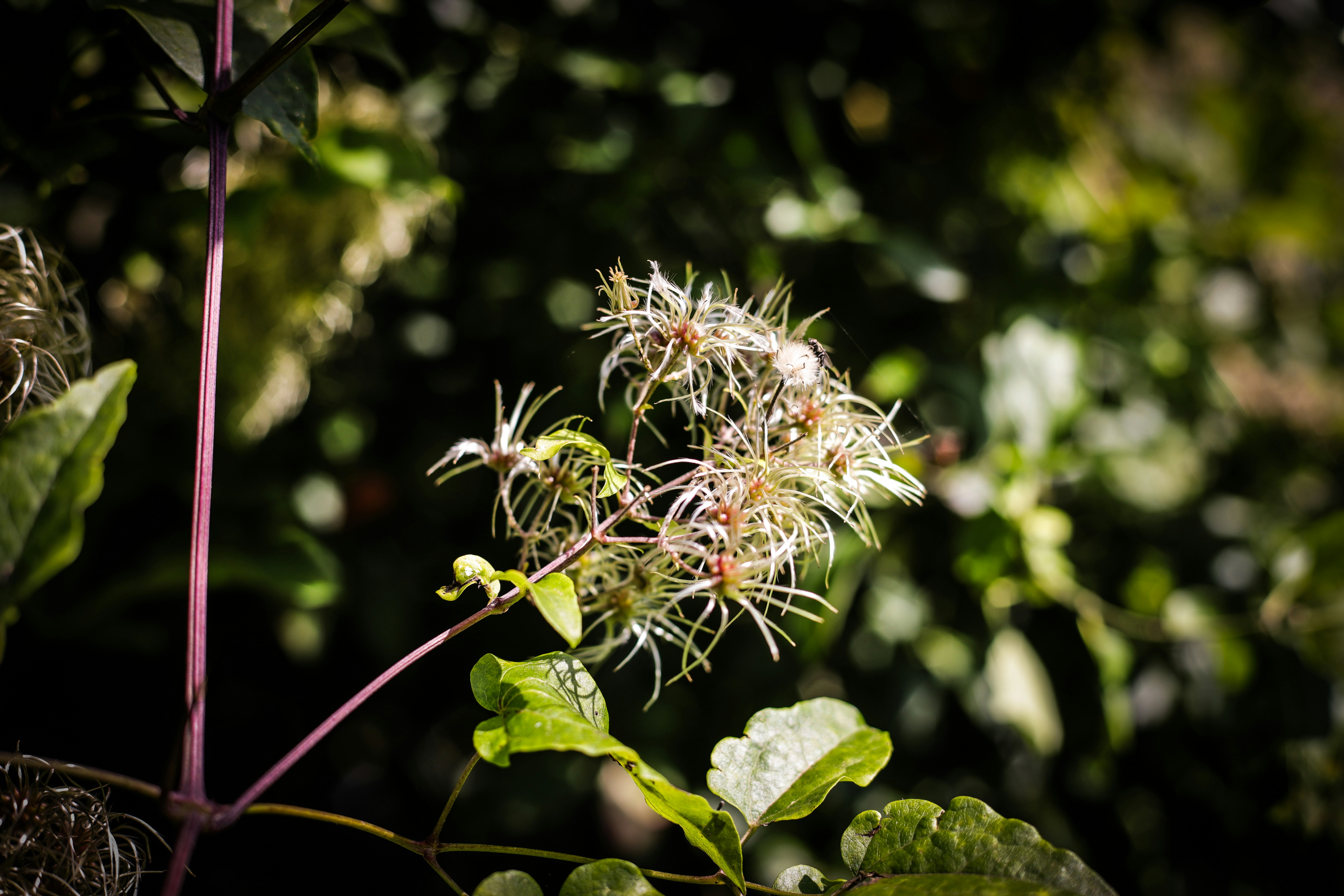 Photo by mo_tographie