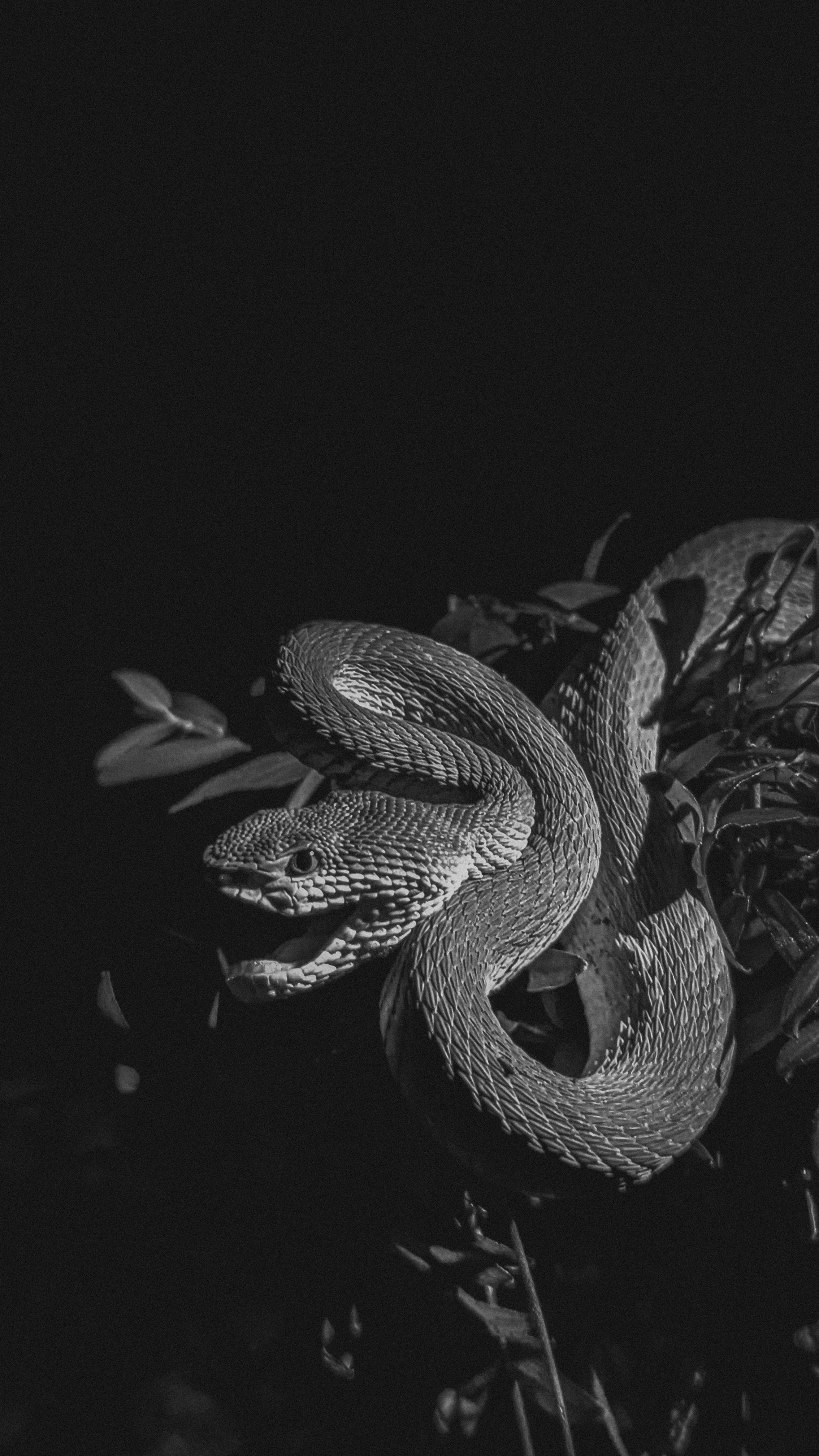 Photo by vikramaditya