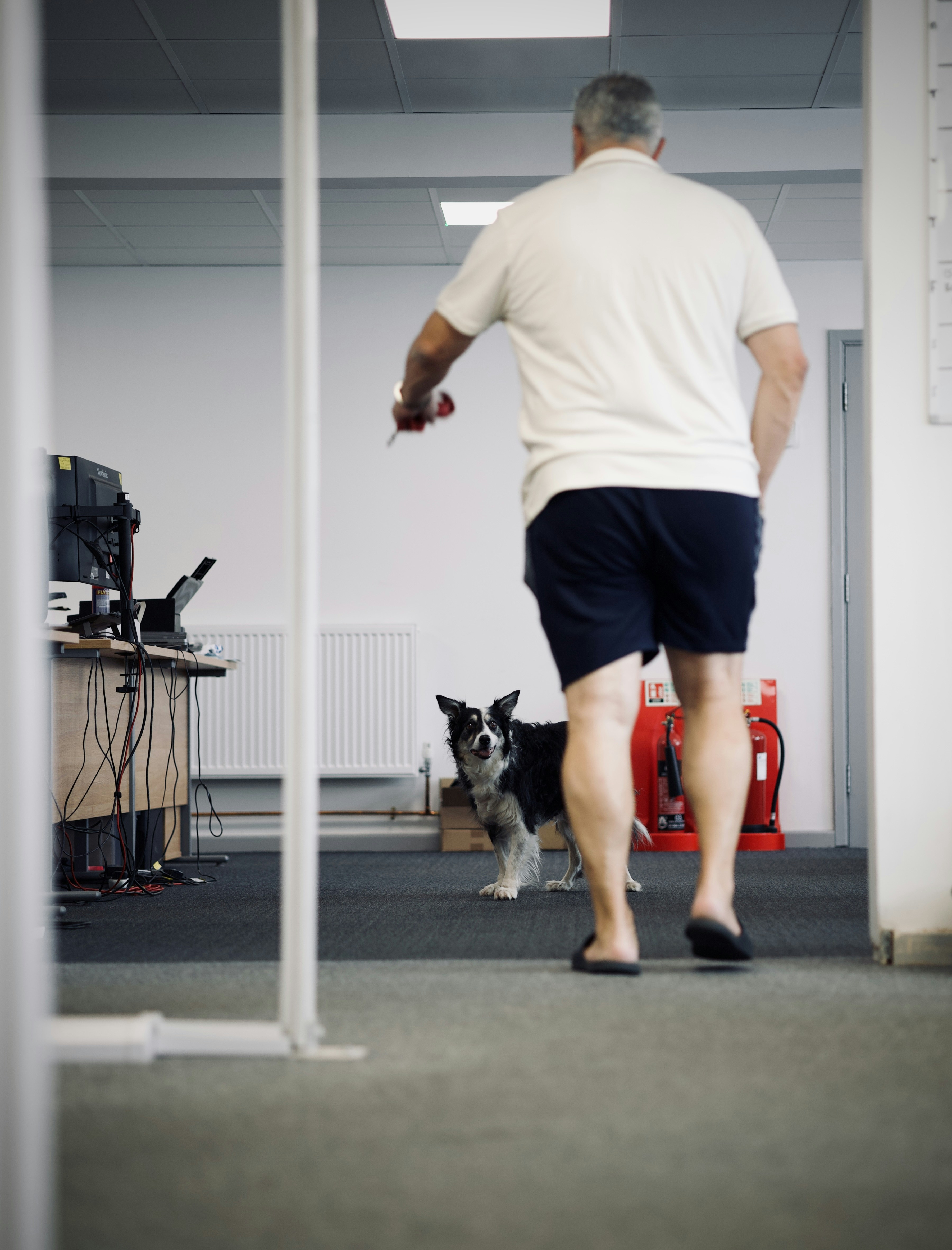 A man walking his dog in an office