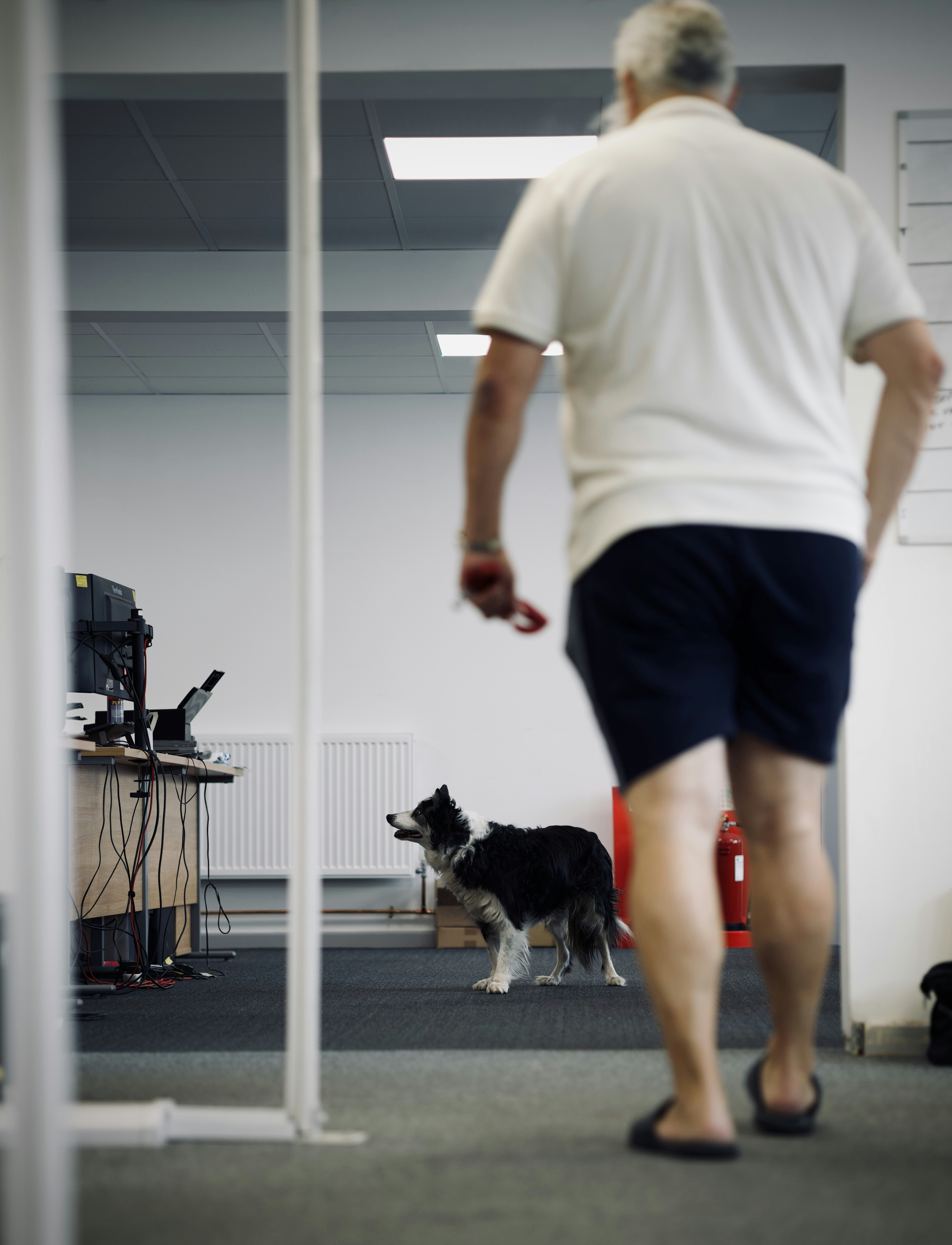 A man walking a dog in an office