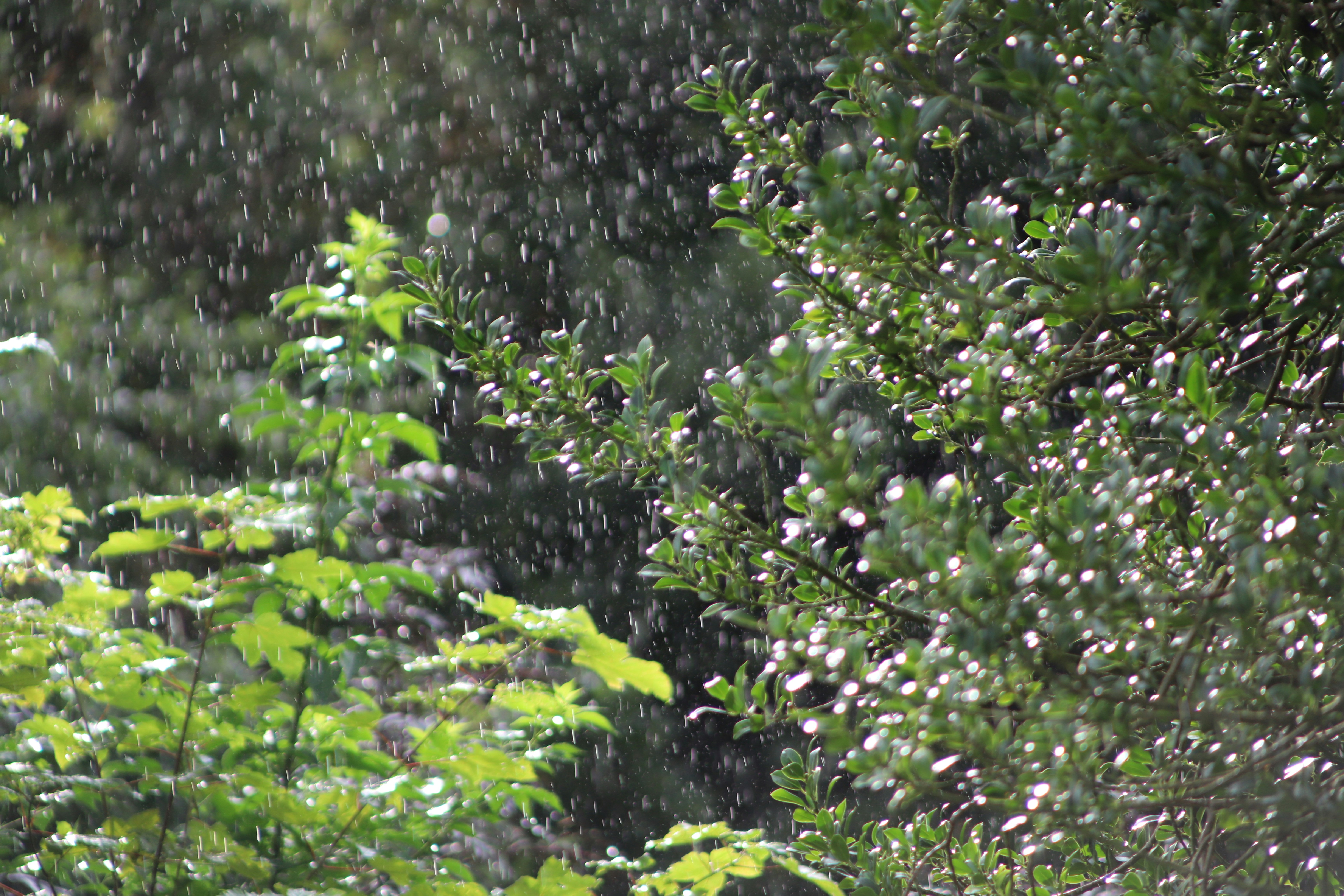 Sun And Rain Pictures | Download Free Images on Unsplash