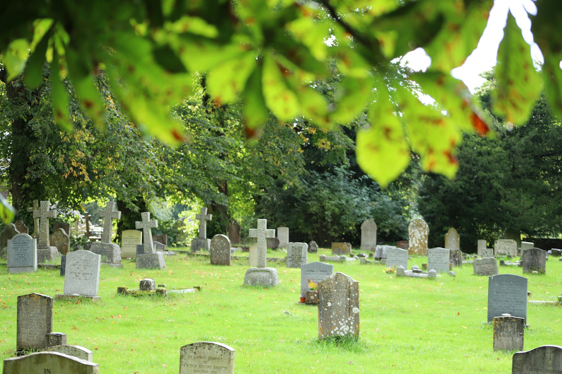 A cemetery with many headstones and trees in the background