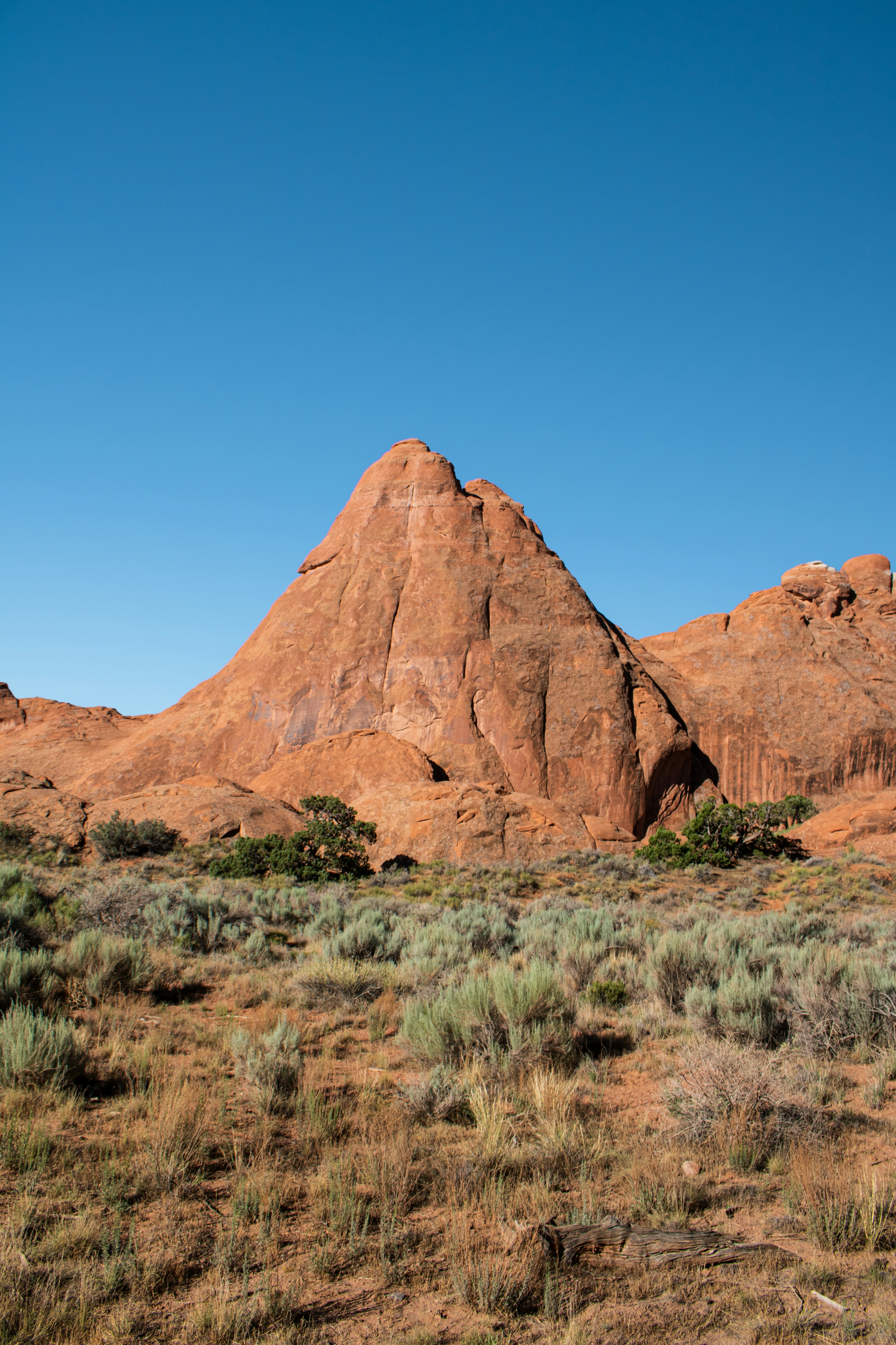 Photo by zoshuacolah