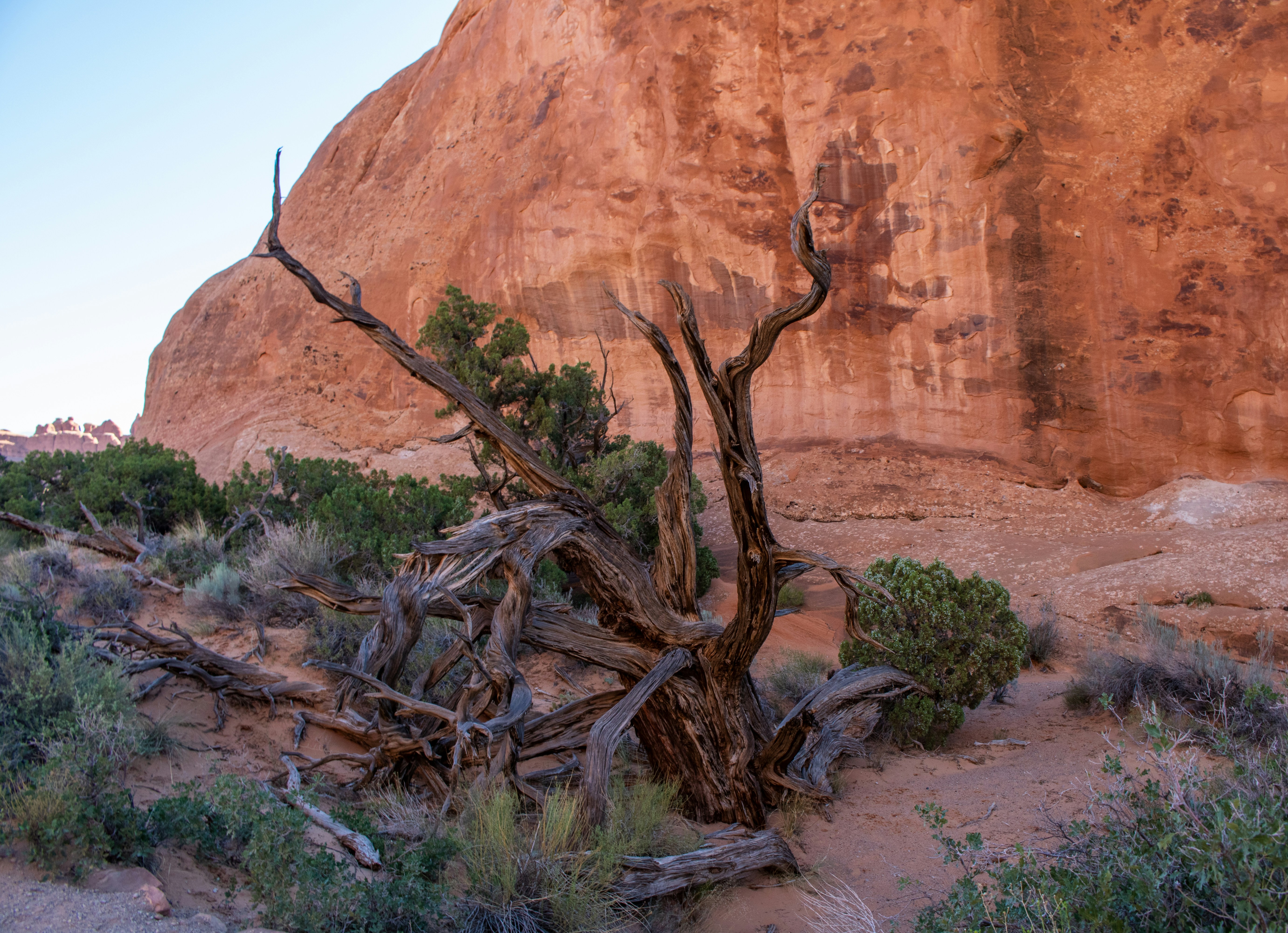 Photo by zoshuacolah