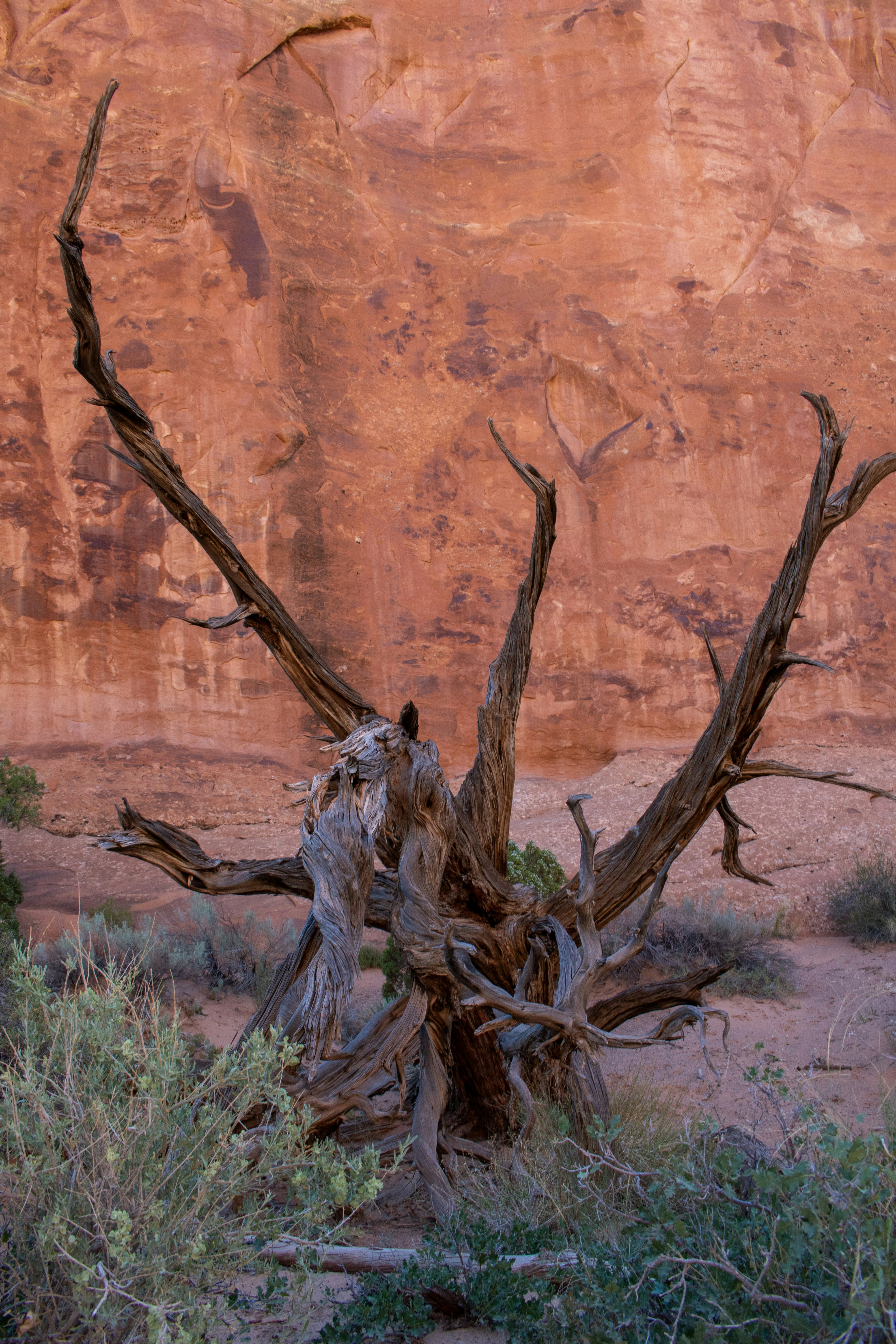 Photo by zoshuacolah