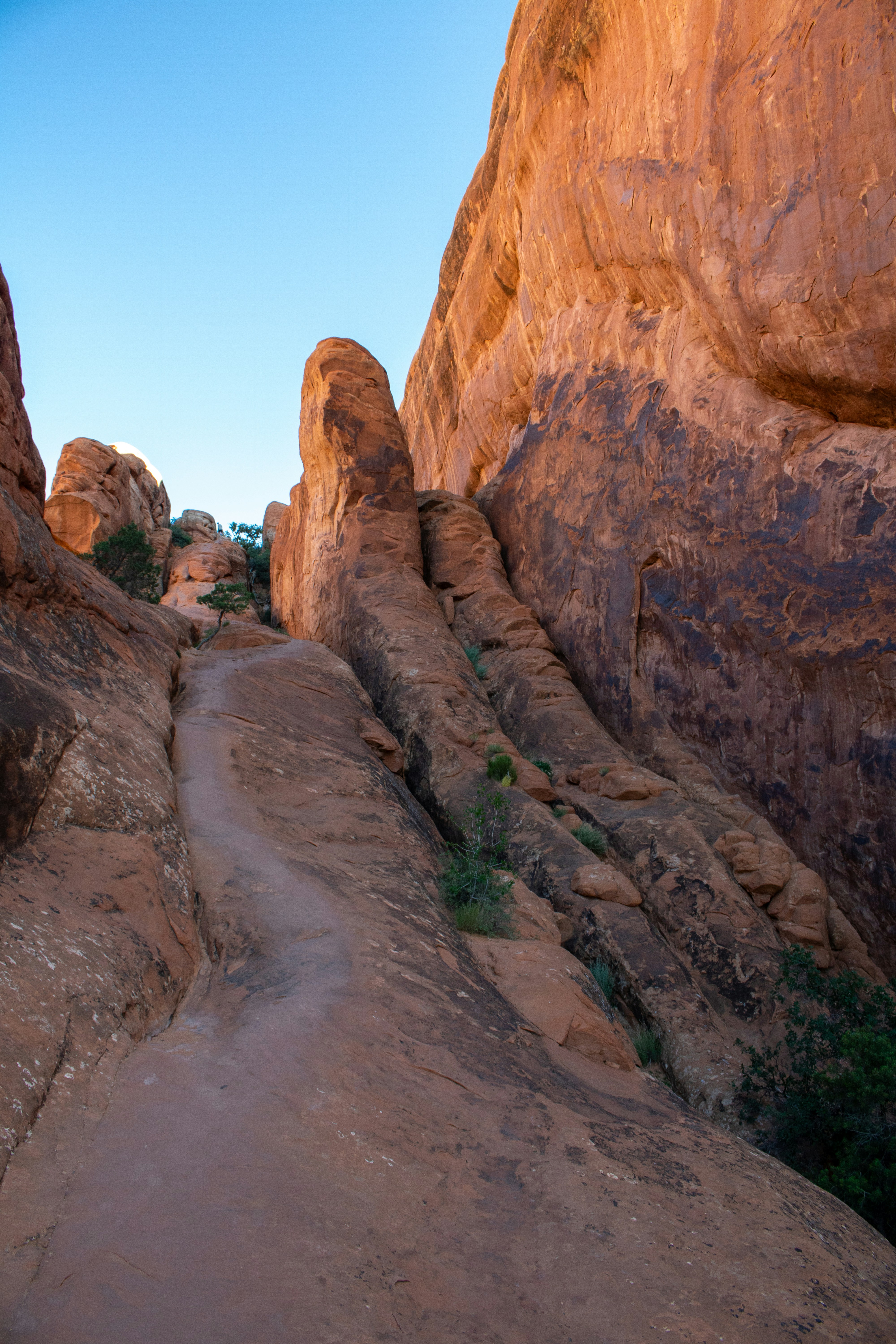 Devil’s Garden is a unique and stunning area located in Arches National Park, Utah. It’s known for its incredible sandstone formations, towering rock fins, arches, and dramatic desert landscapes. The area offers some of the most picturesque and iconic features of the park, making it a popular destination for hikers, photographers, and outdoor enthusiasts.