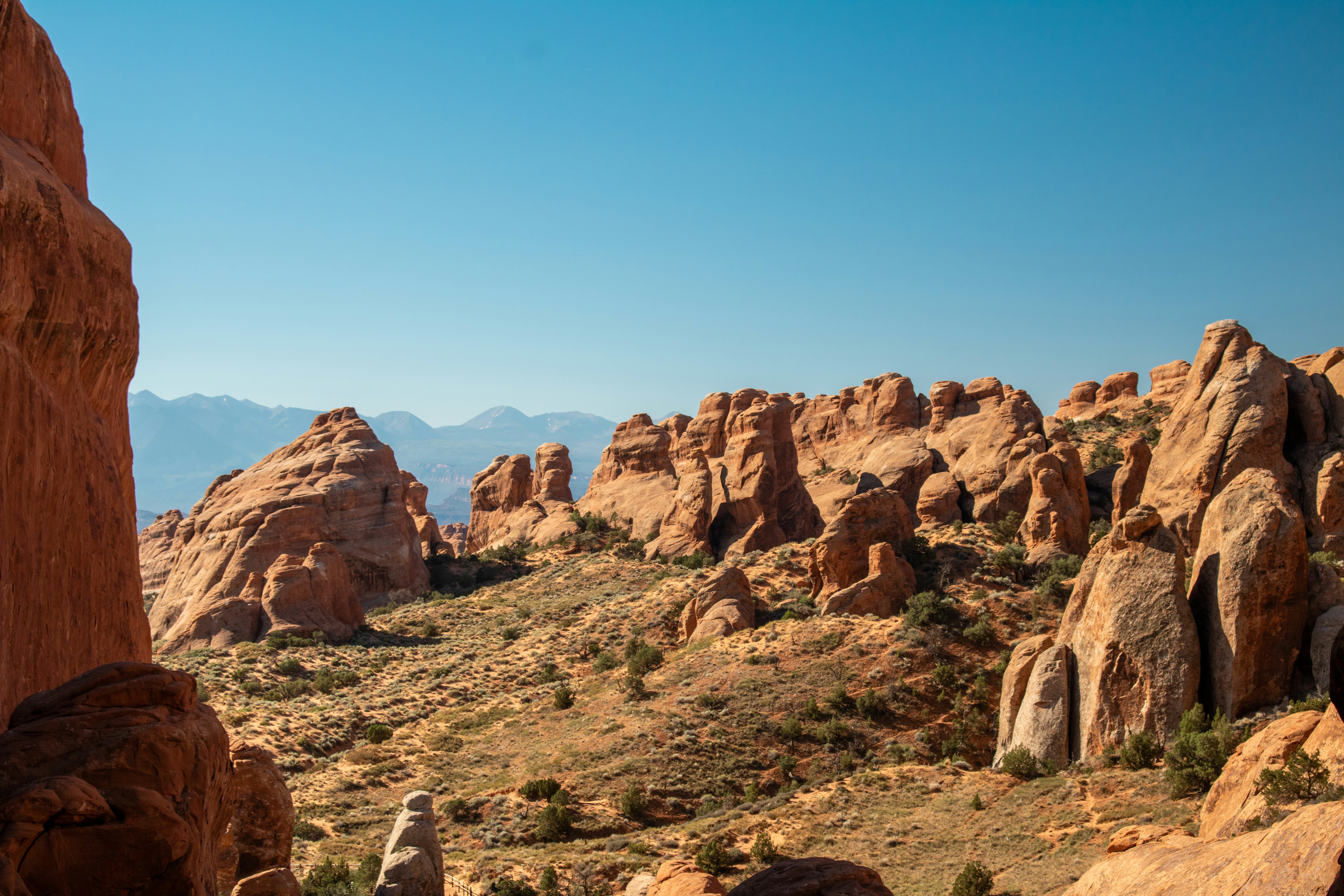 Photo by zoshuacolah