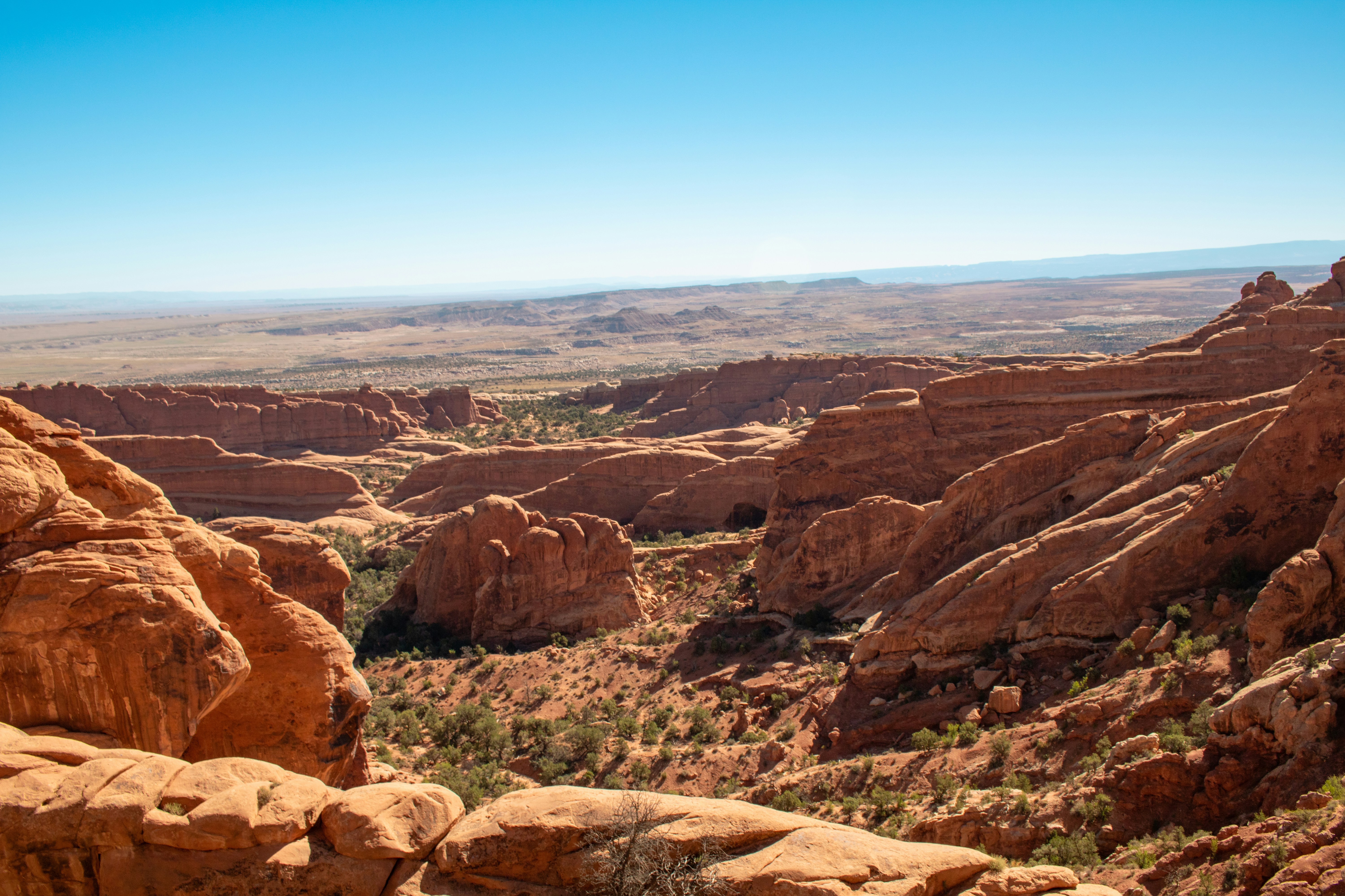 Photo by zoshuacolah