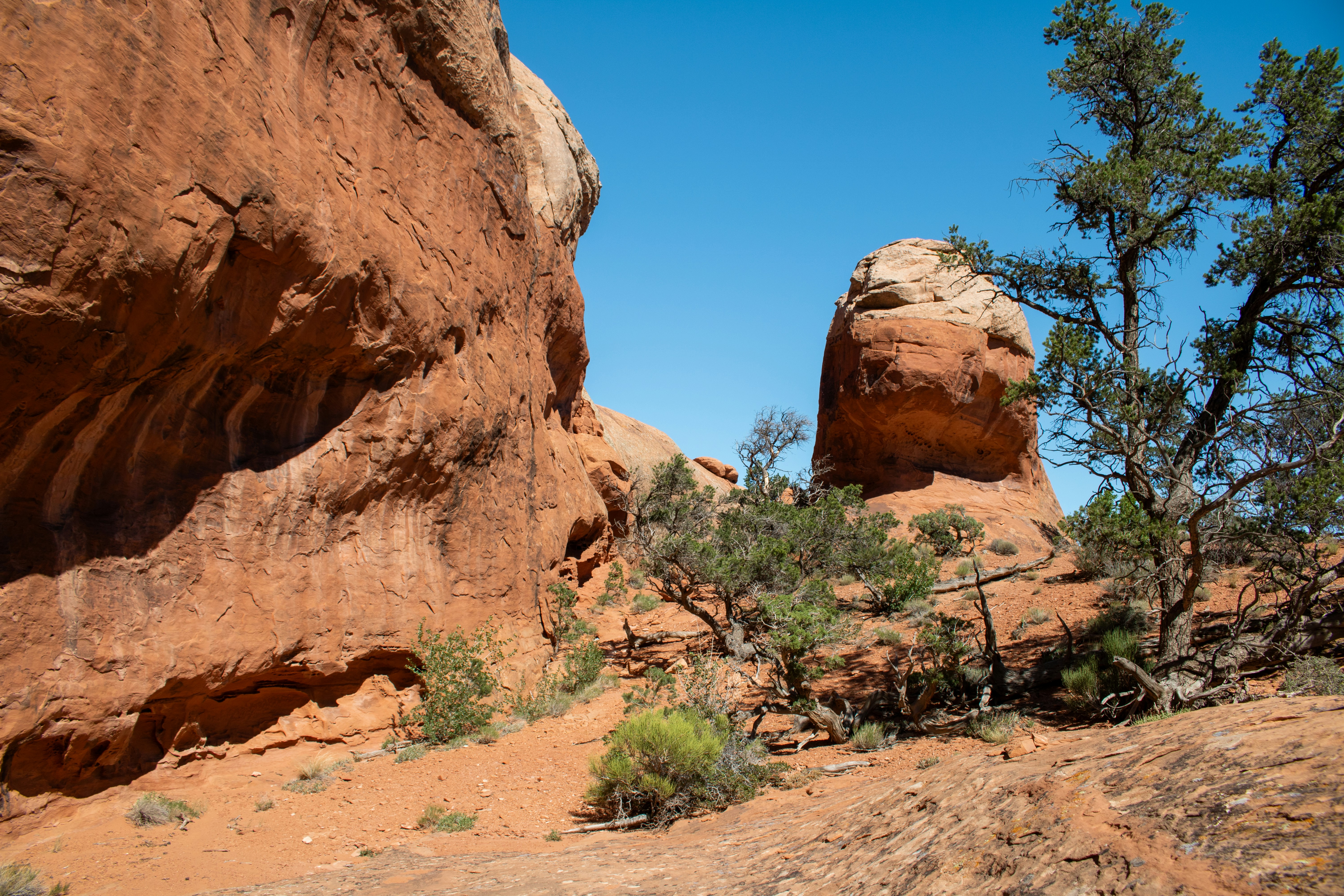 Photo by zoshuacolah