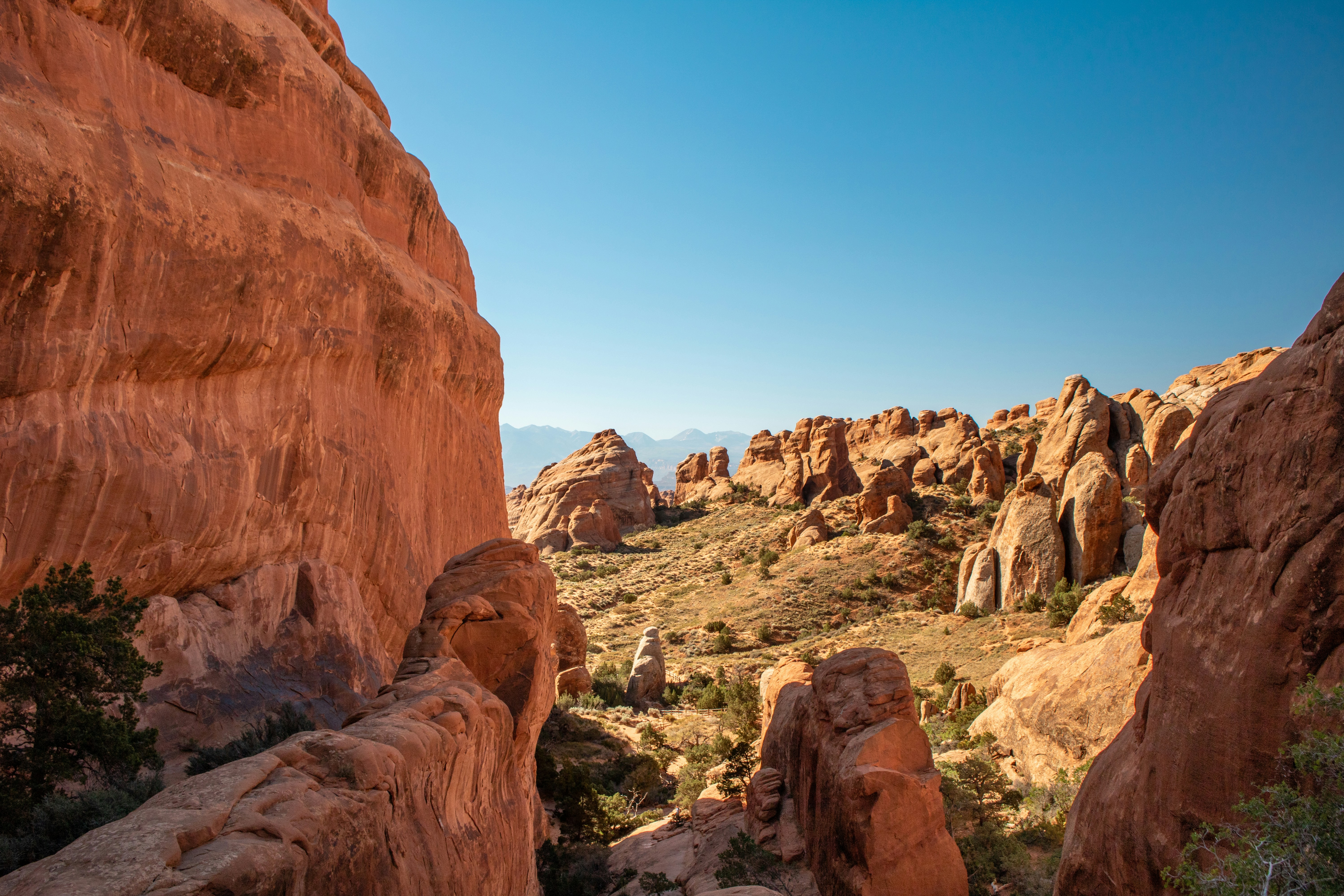 Photo by zoshuacolah