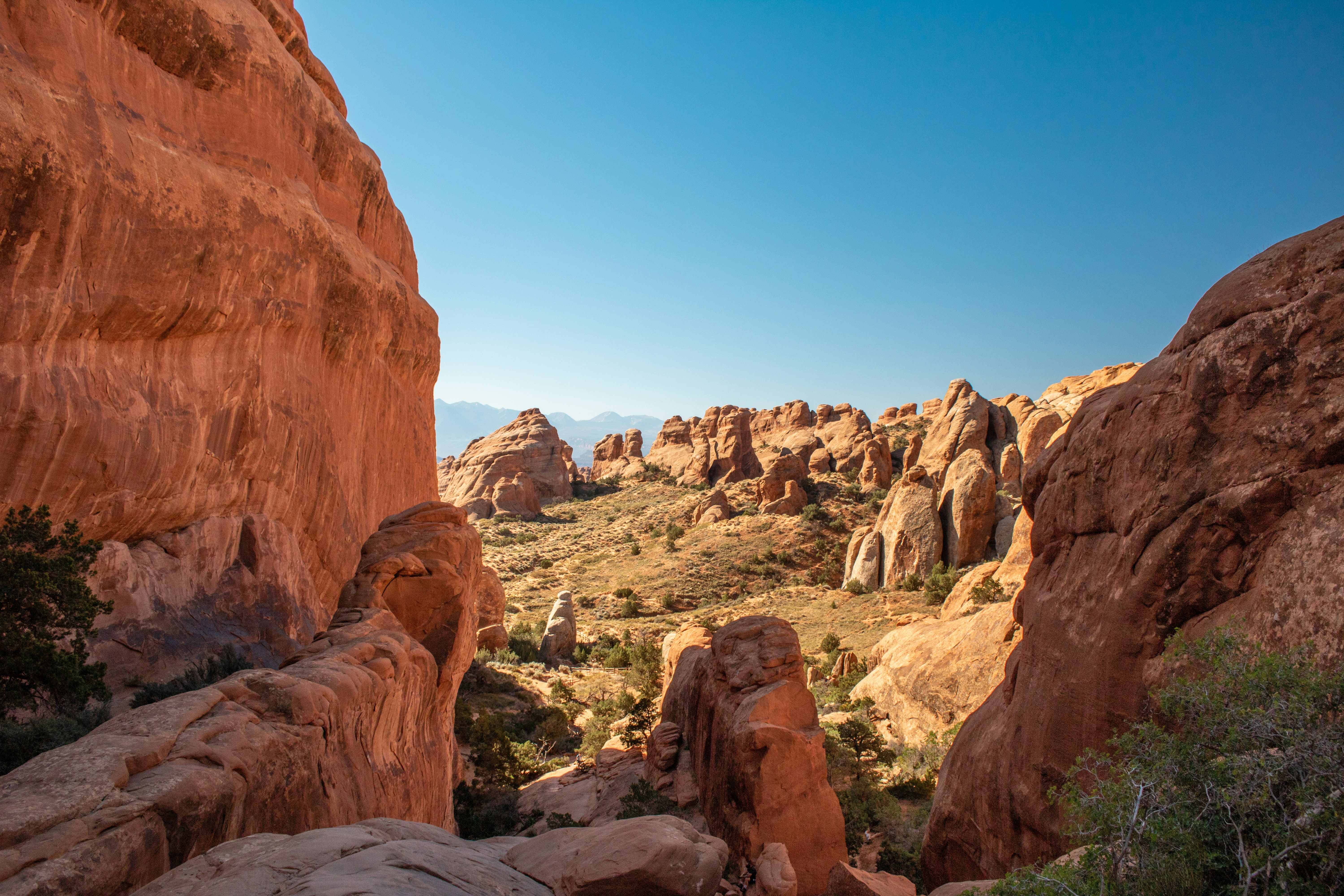 Photo by zoshuacolah