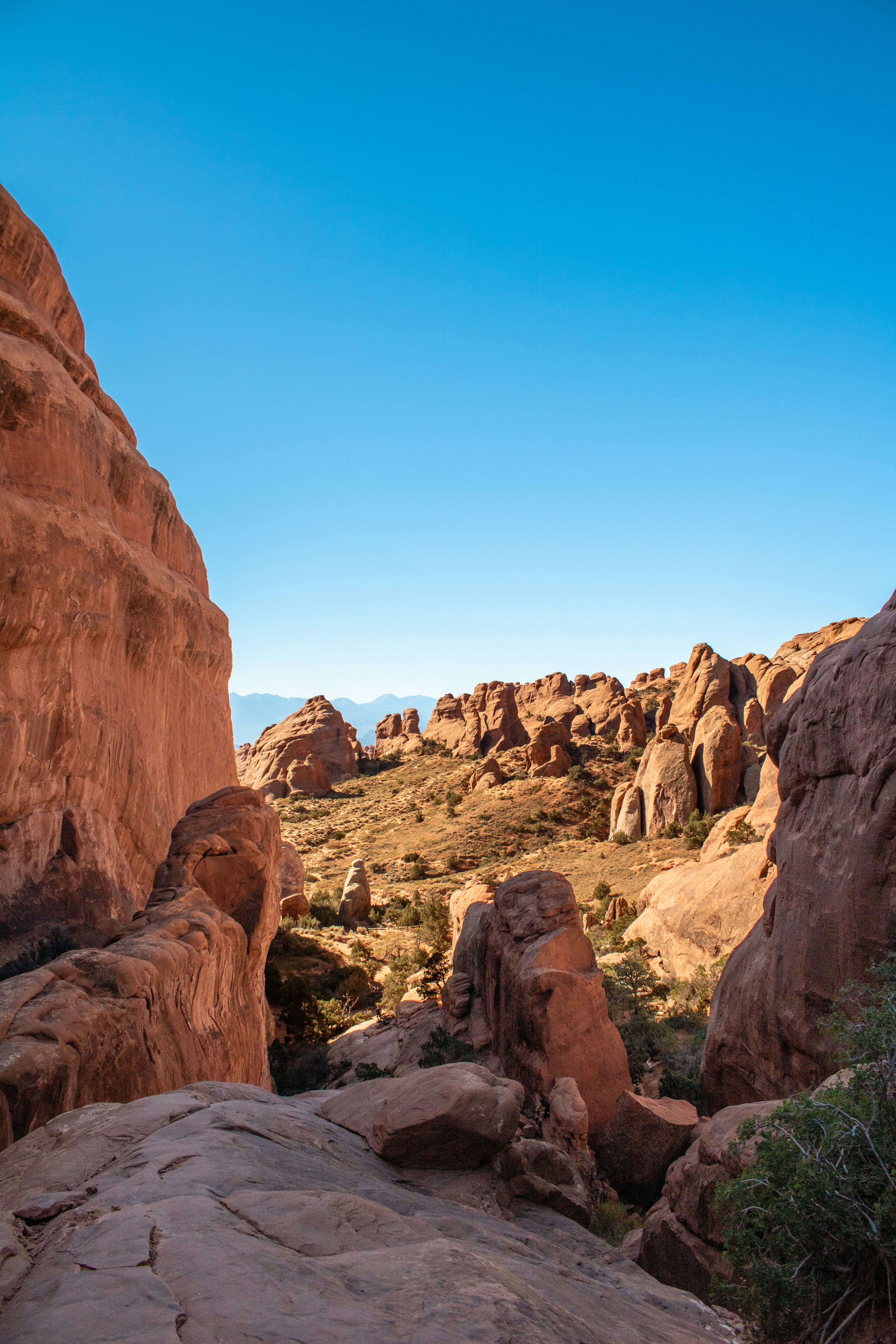 Photo by zoshuacolah